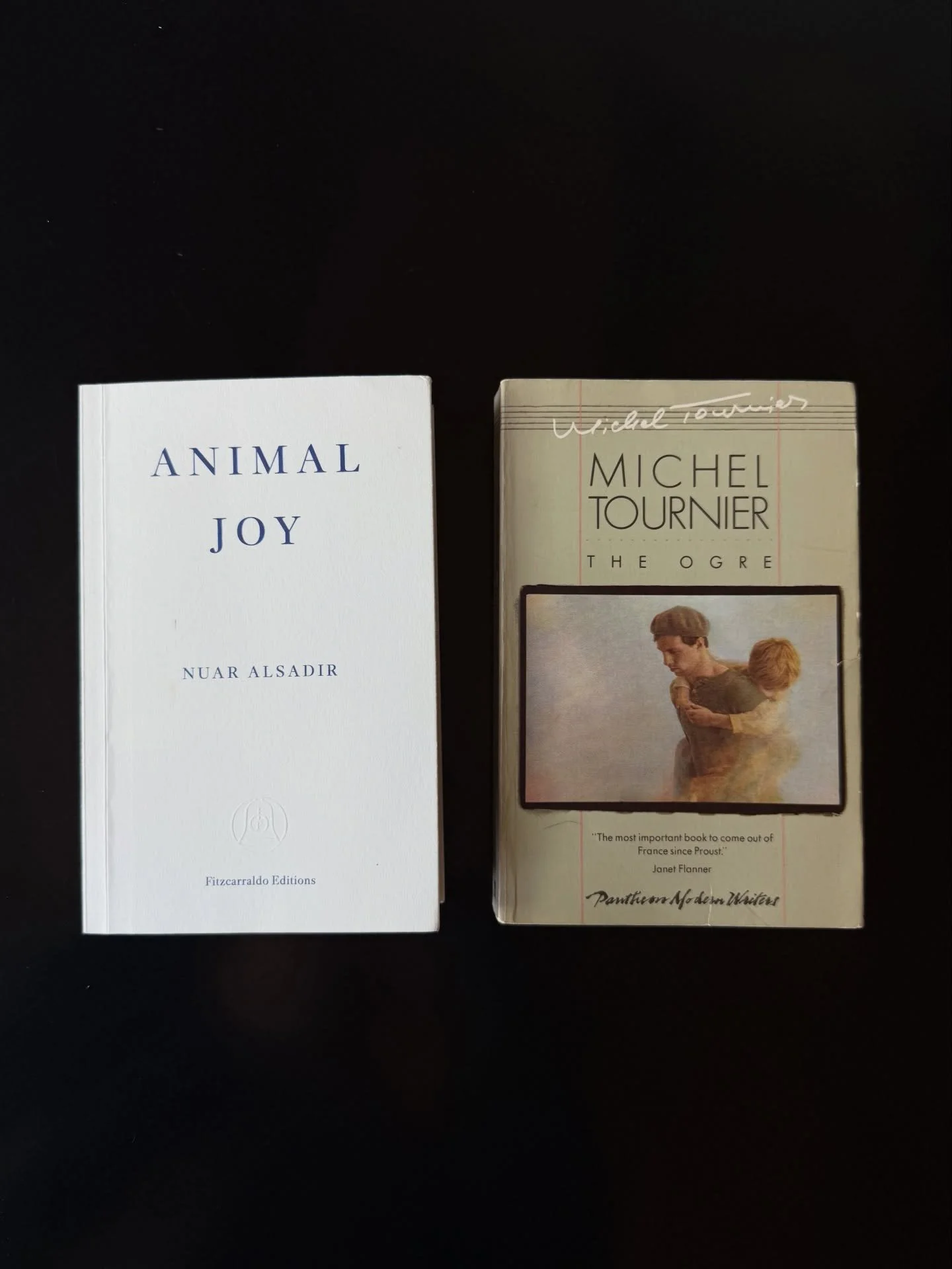 this morning closing the cover on the last page of Michel Tourier&lsquo;s &ldquo;The Ogre&rdquo; only opens a greater astonishment at the power of writing. I ended up reading it in tandem with Nuar Alsadir&rsquo;s &ldquo;Animal Joy&rdquo;. Master wea