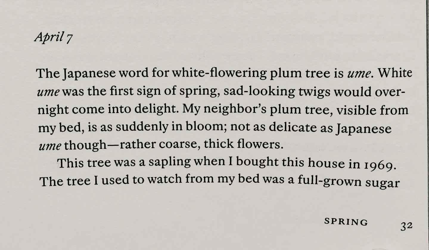 This is Anne Truitt on April 7, 2001. Today is April 7, 2026.