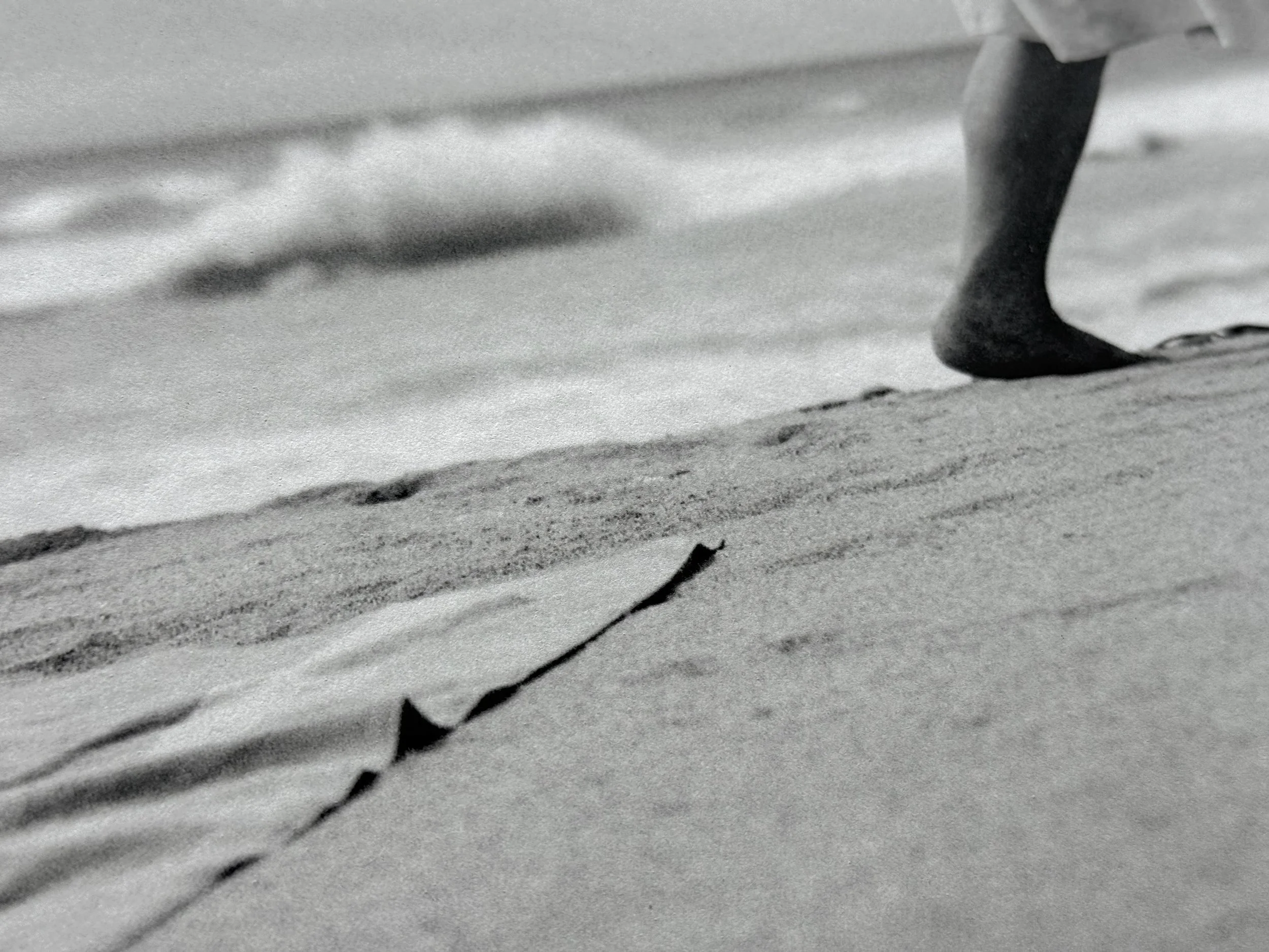 Kate Joyce Metamorphoses The Creation 08 IMG_2474.jpeg