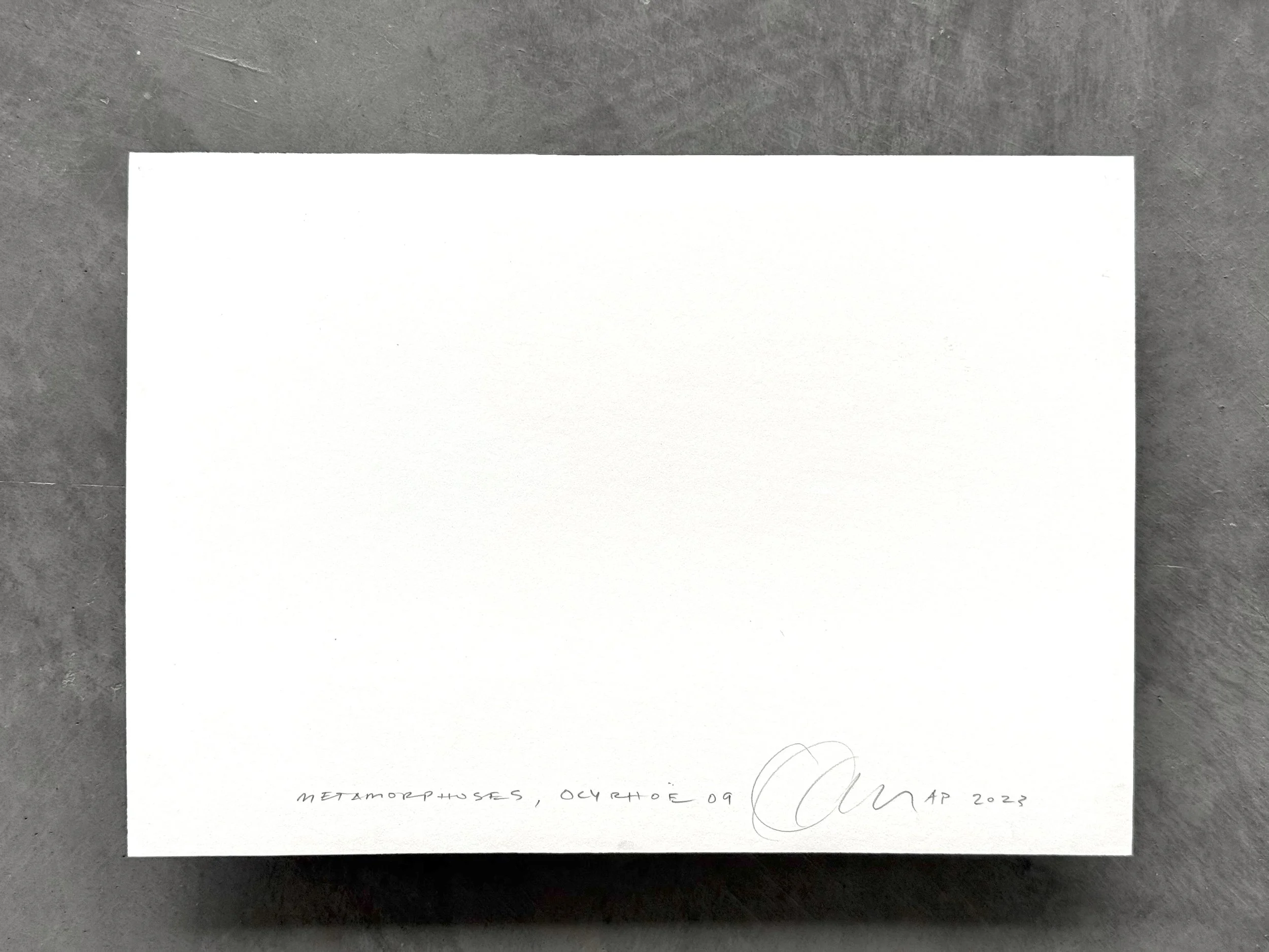 Kate Joyce Metamorphoses Ocyrhoe 09 IMG_2470.jpeg