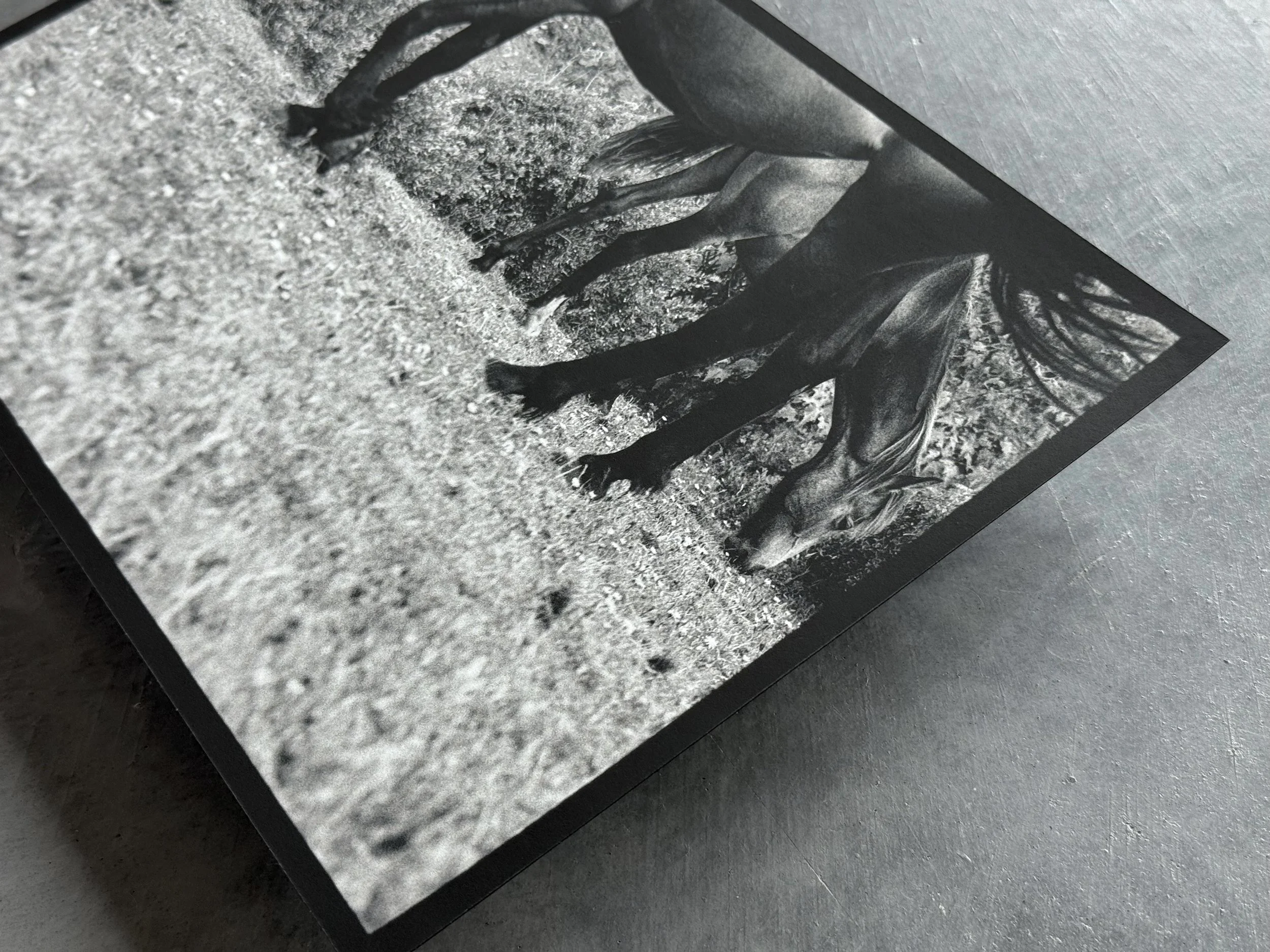 Kate Joyce Metamorphoses Ocyrhoe 09 IMG_2468.jpeg