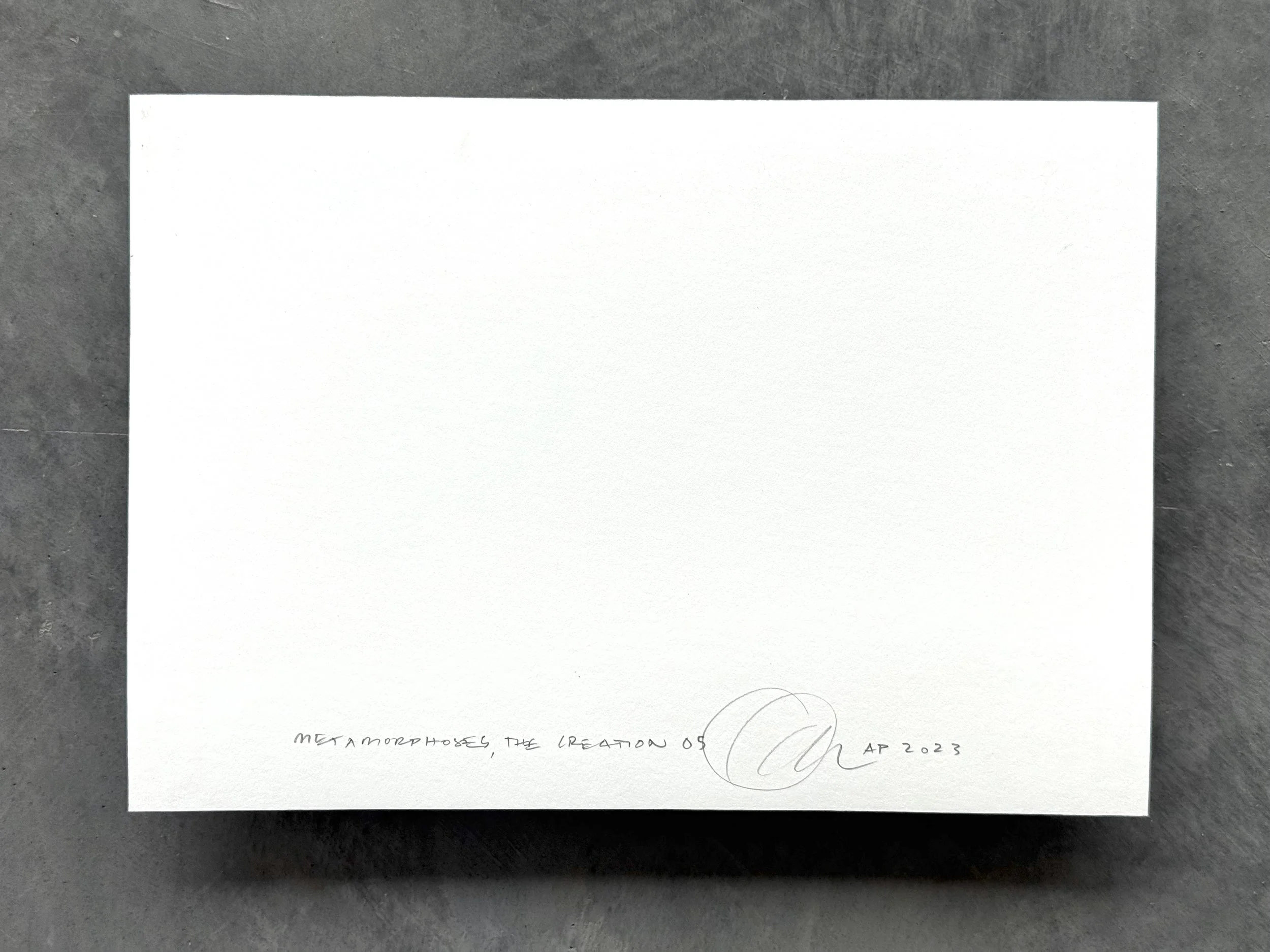 Kate Joyce Metamorphoses The Creation 05 IMG_2466.jpeg