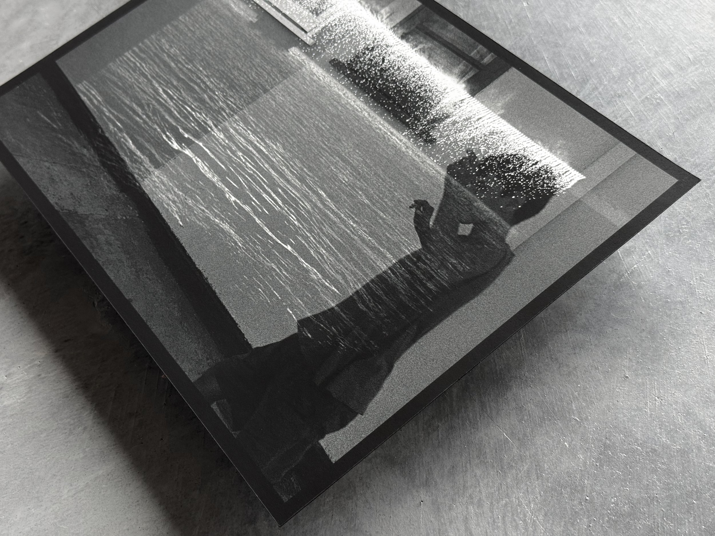 Kate Joyce Metamorphoses The Creation 05 IMG_2465.jpeg