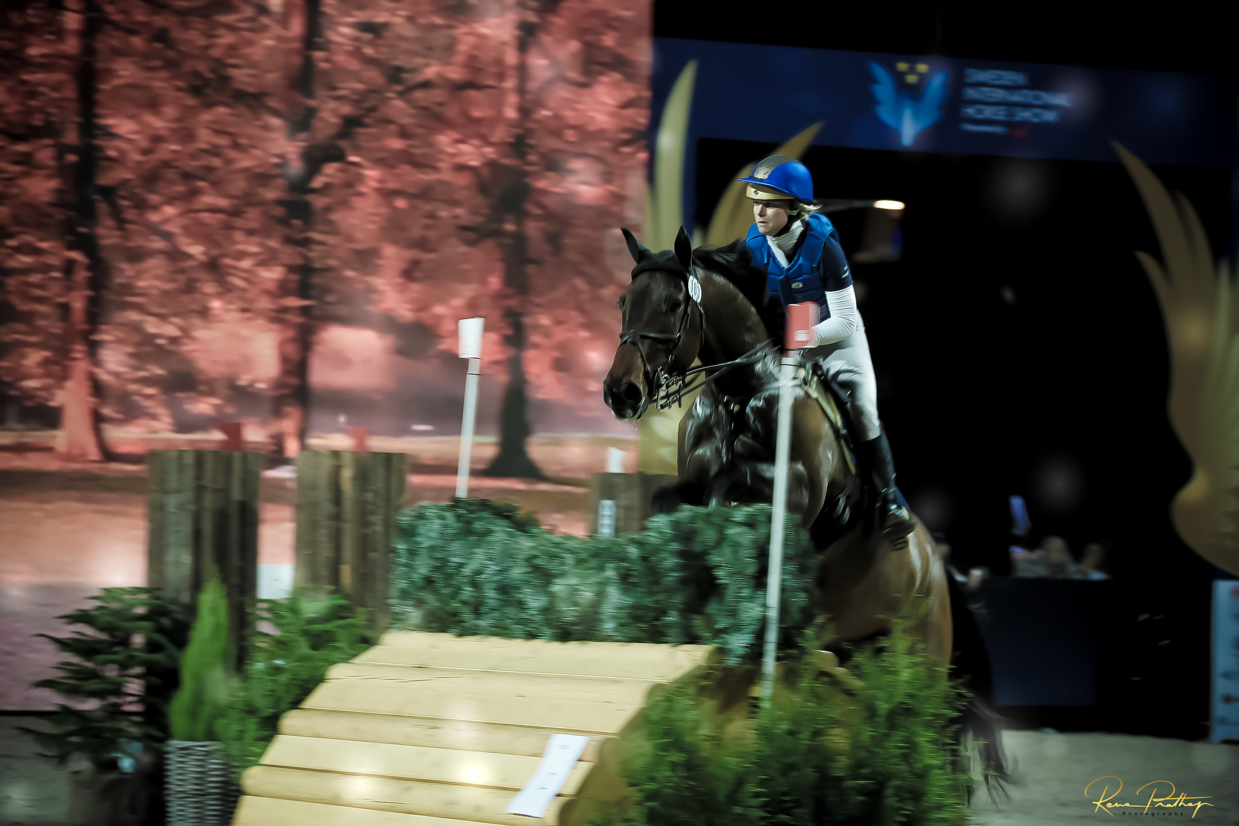 9.SWEDEN HORSE SHOW 30 NOV.jpg