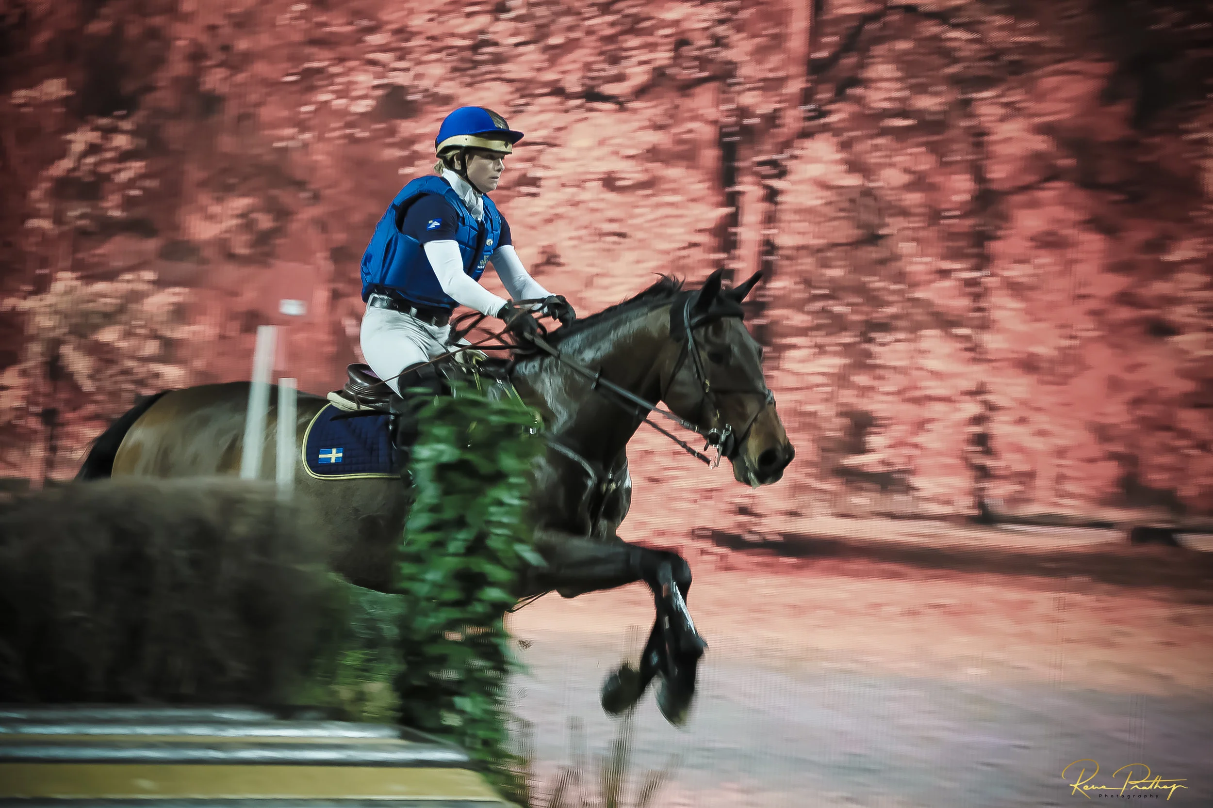 10.SWEDEN HORSE SHOW 30 NOV.jpg