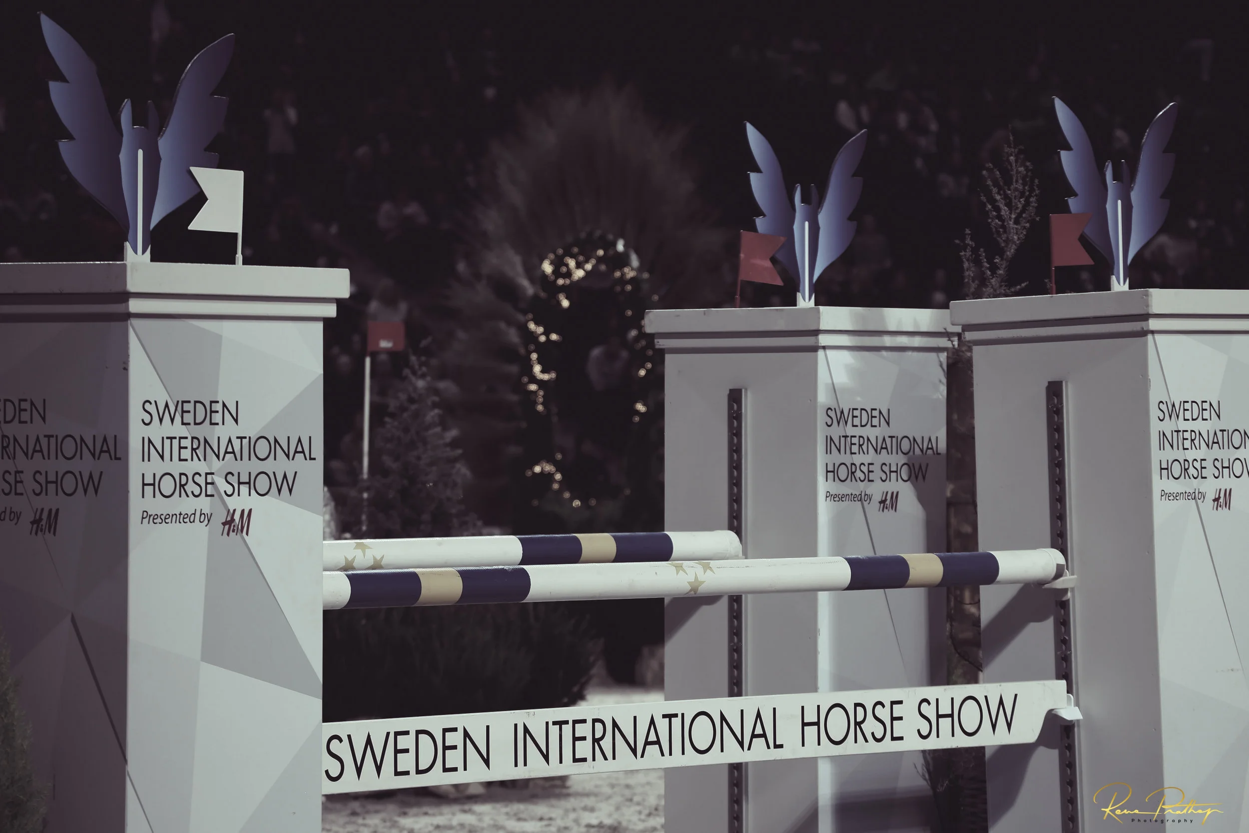 12.SWEDEN HORSE SHOW 30 NOV.jpg
