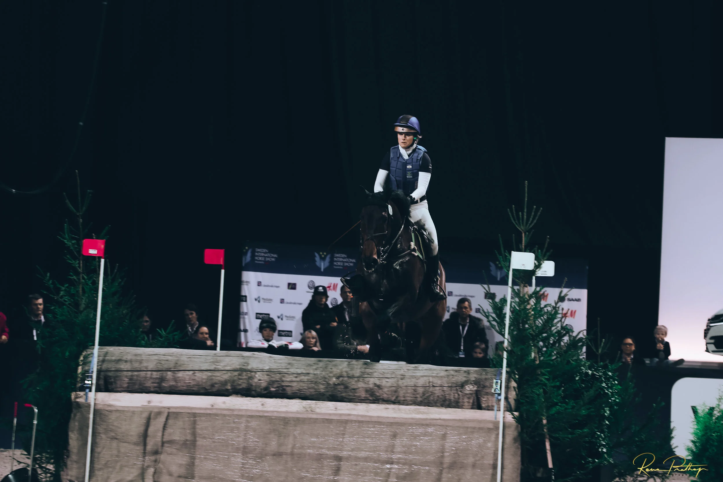 14.SWEDEN HORSE SHOW 30 NOV.jpg
