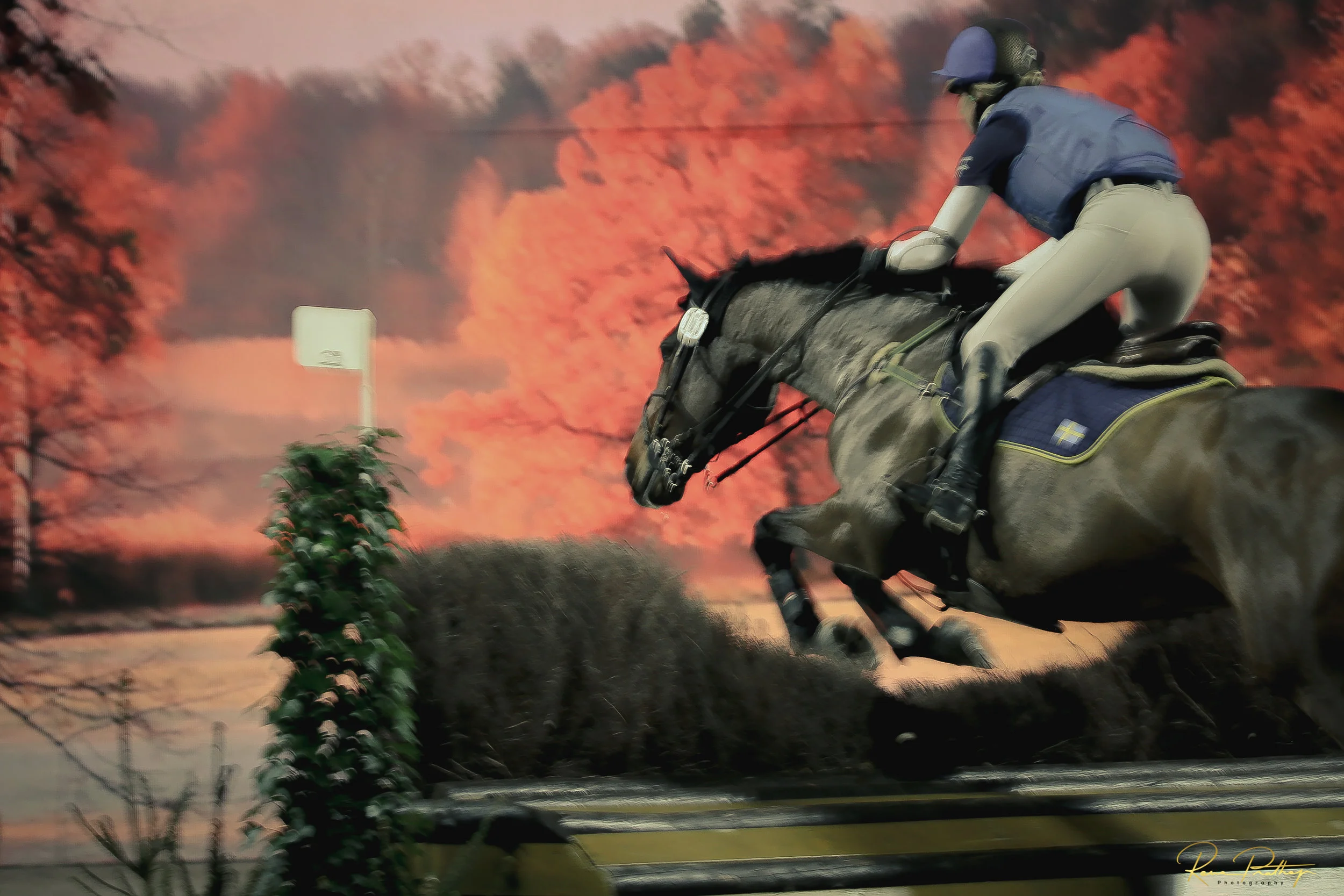 13.SWEDEN HORSE SHOW 30 NOV.jpg
