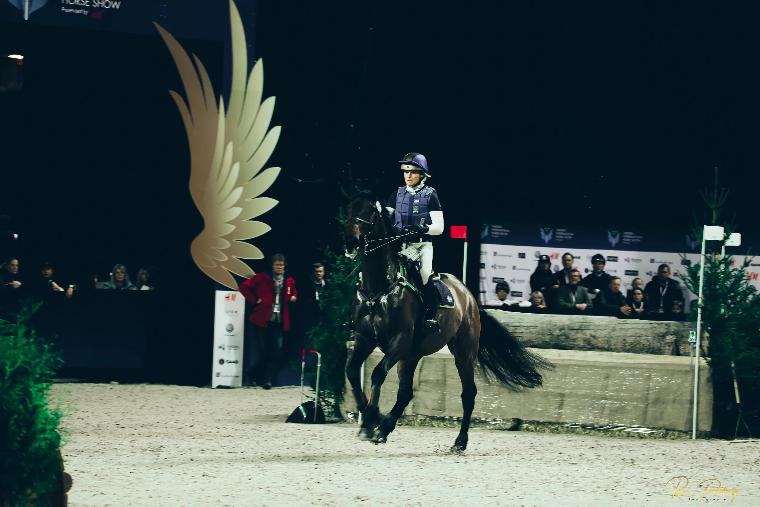 15.SWEDEN HORSE SHOW 30 NOV.jpg