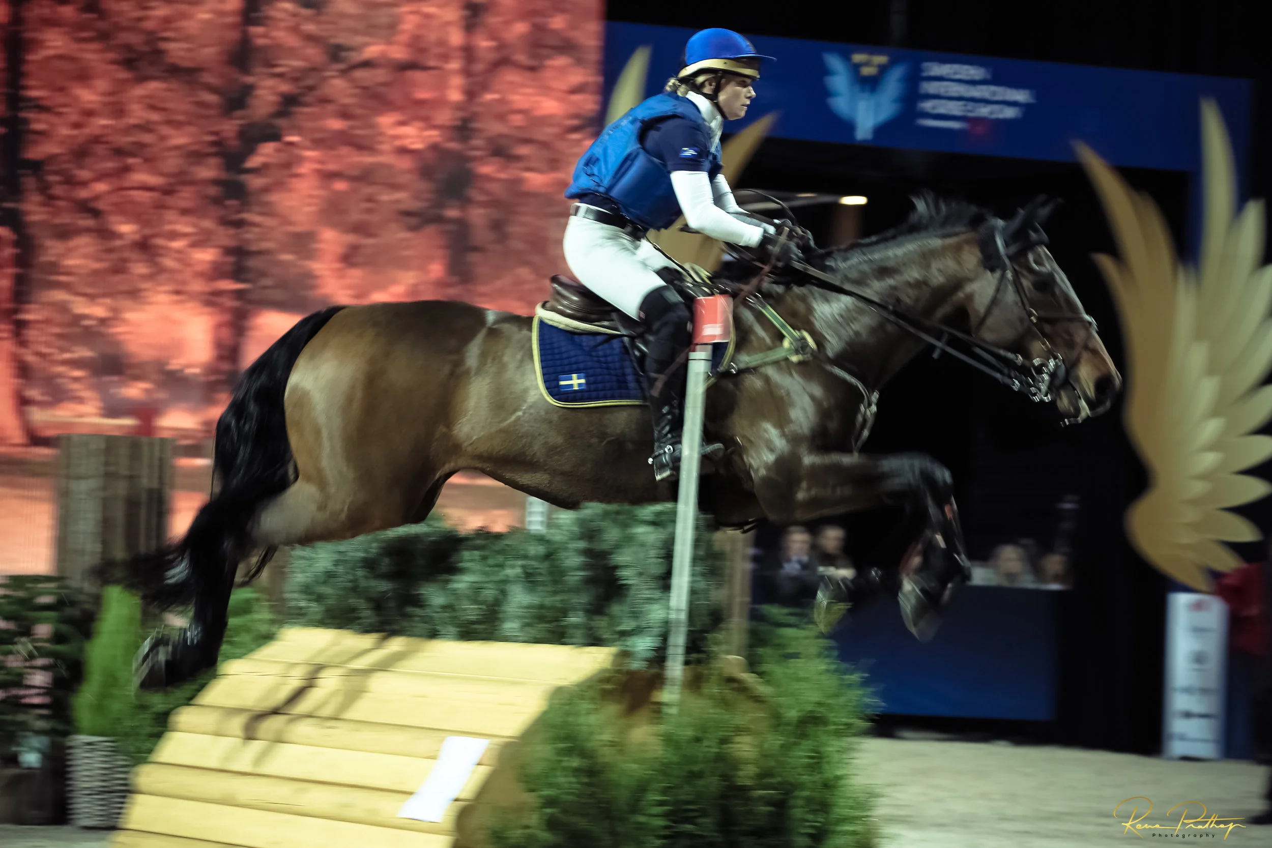 16.SWEDEN HORSE SHOW 30 NOV.jpg