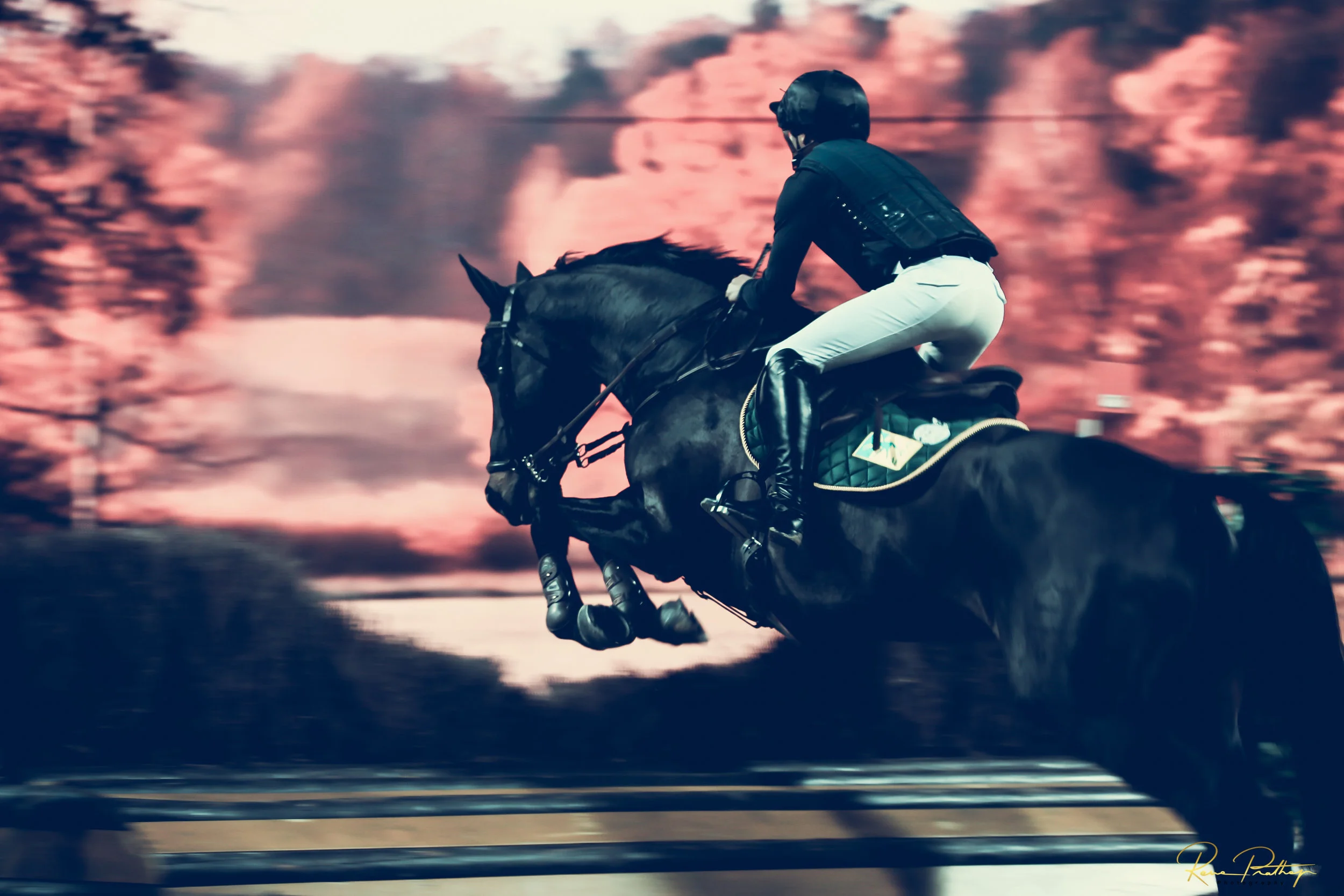 19.SWEDEN HORSE SHOW 30 NOV.jpg