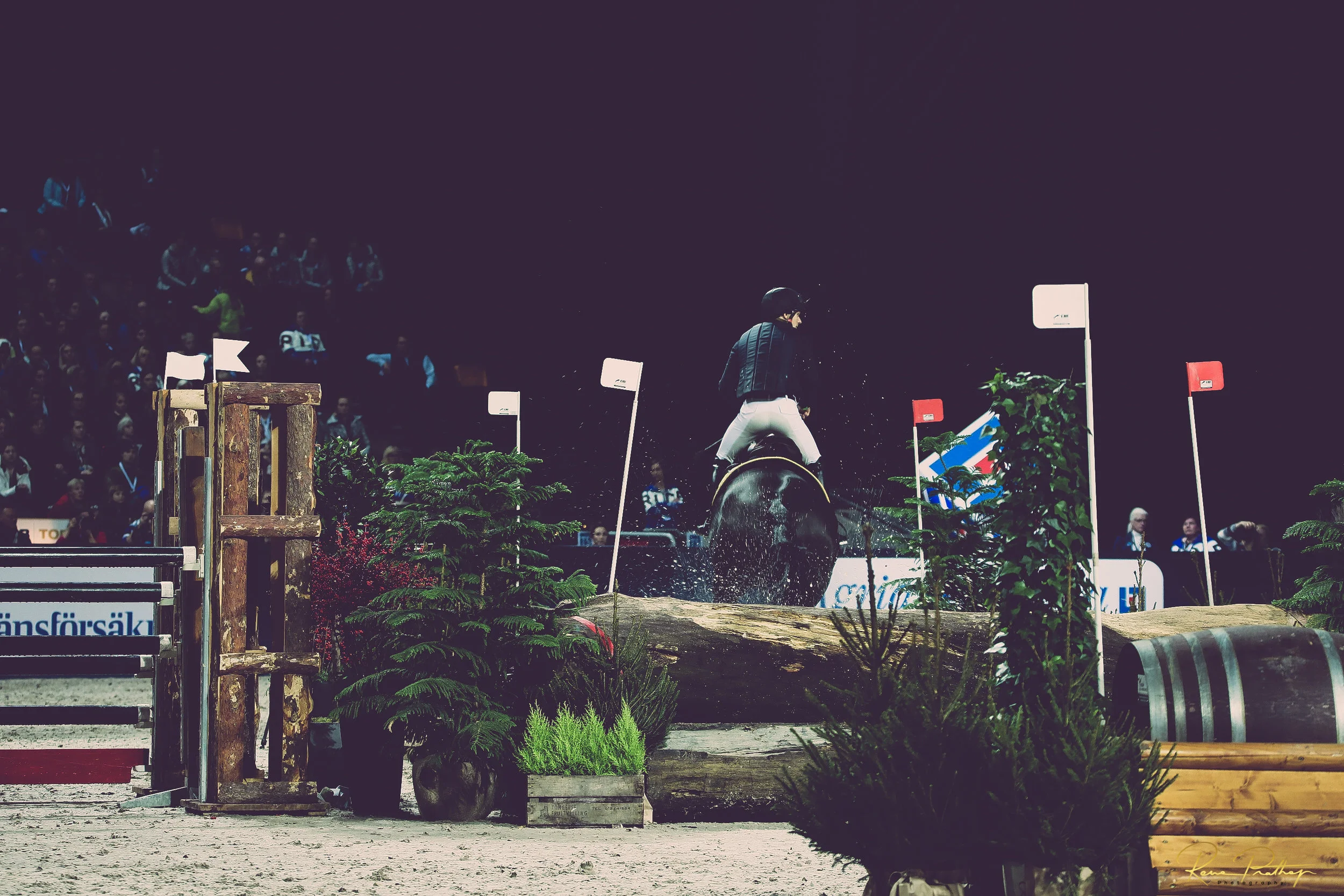 20.SWEDEN HORSE SHOW 30 NOV.jpg