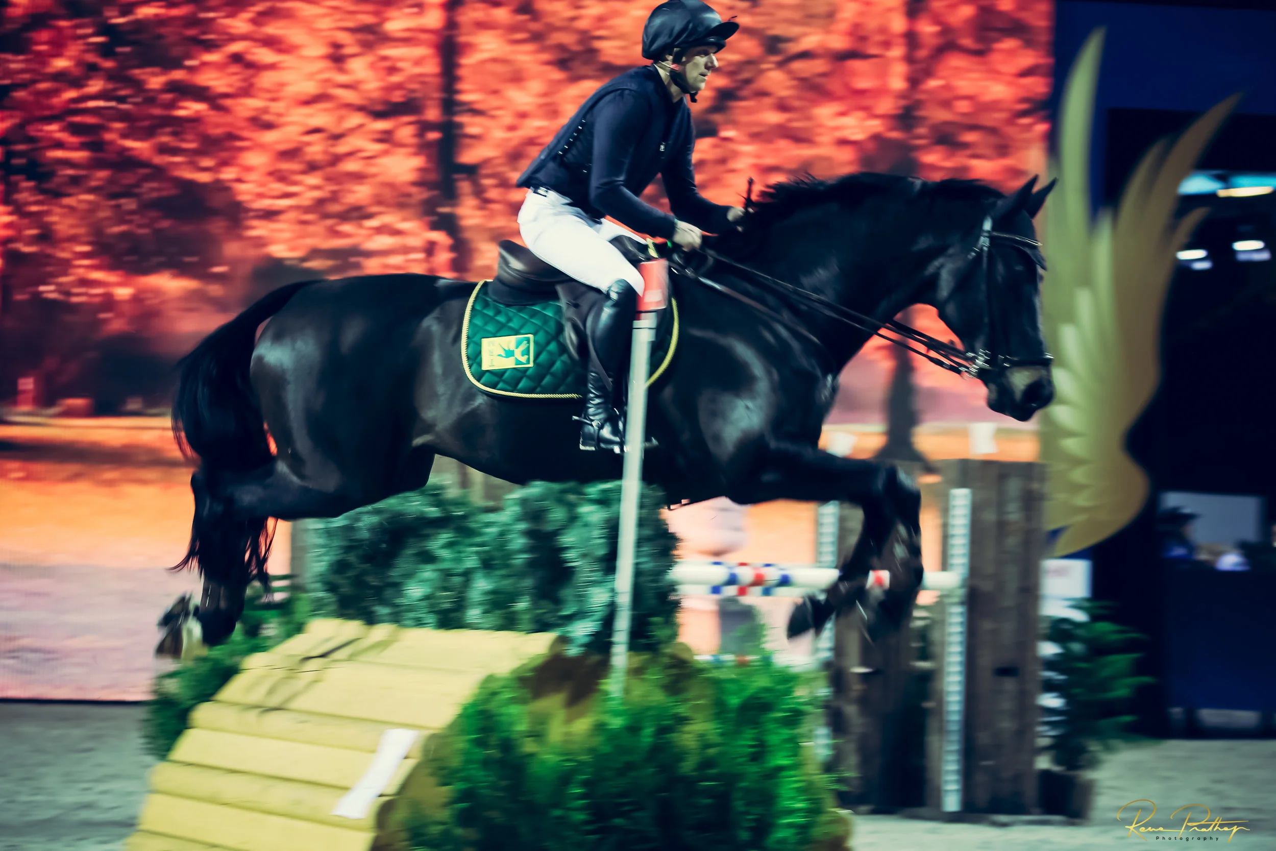 21.SWEDEN HORSE SHOW 30 NOV.jpg