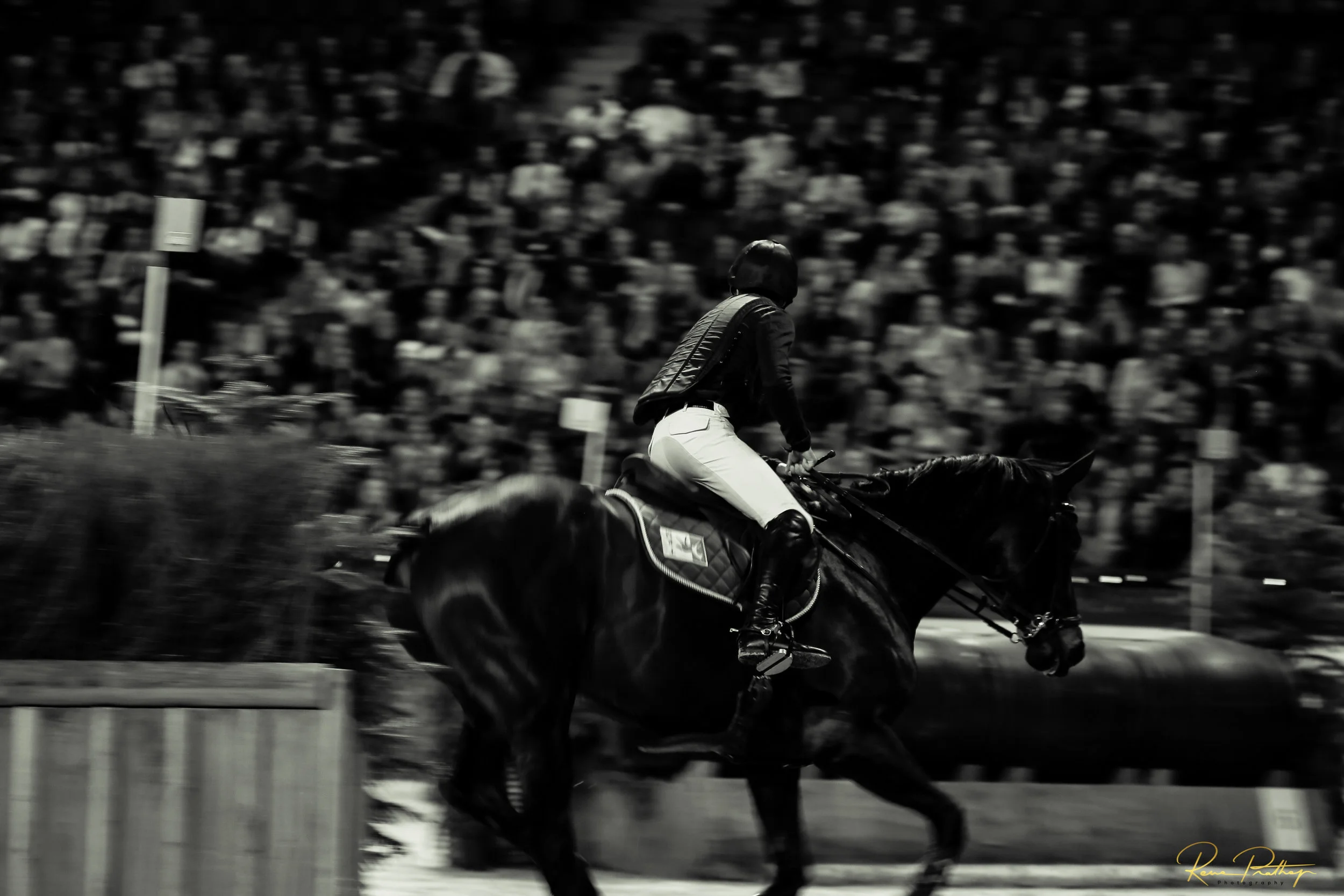 22.SWEDEN HORSE SHOW 30 NOV.jpg