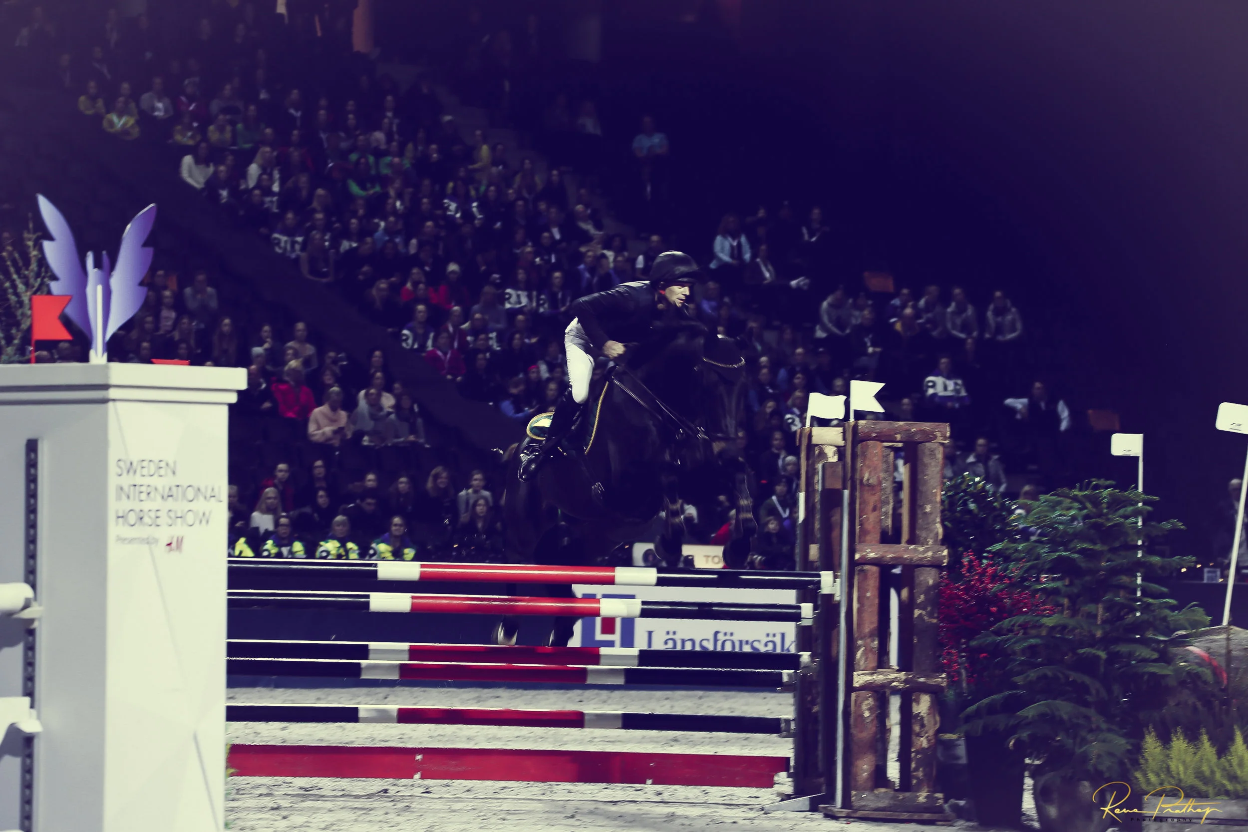 23.SWEDEN HORSE SHOW 30 NOV.jpg