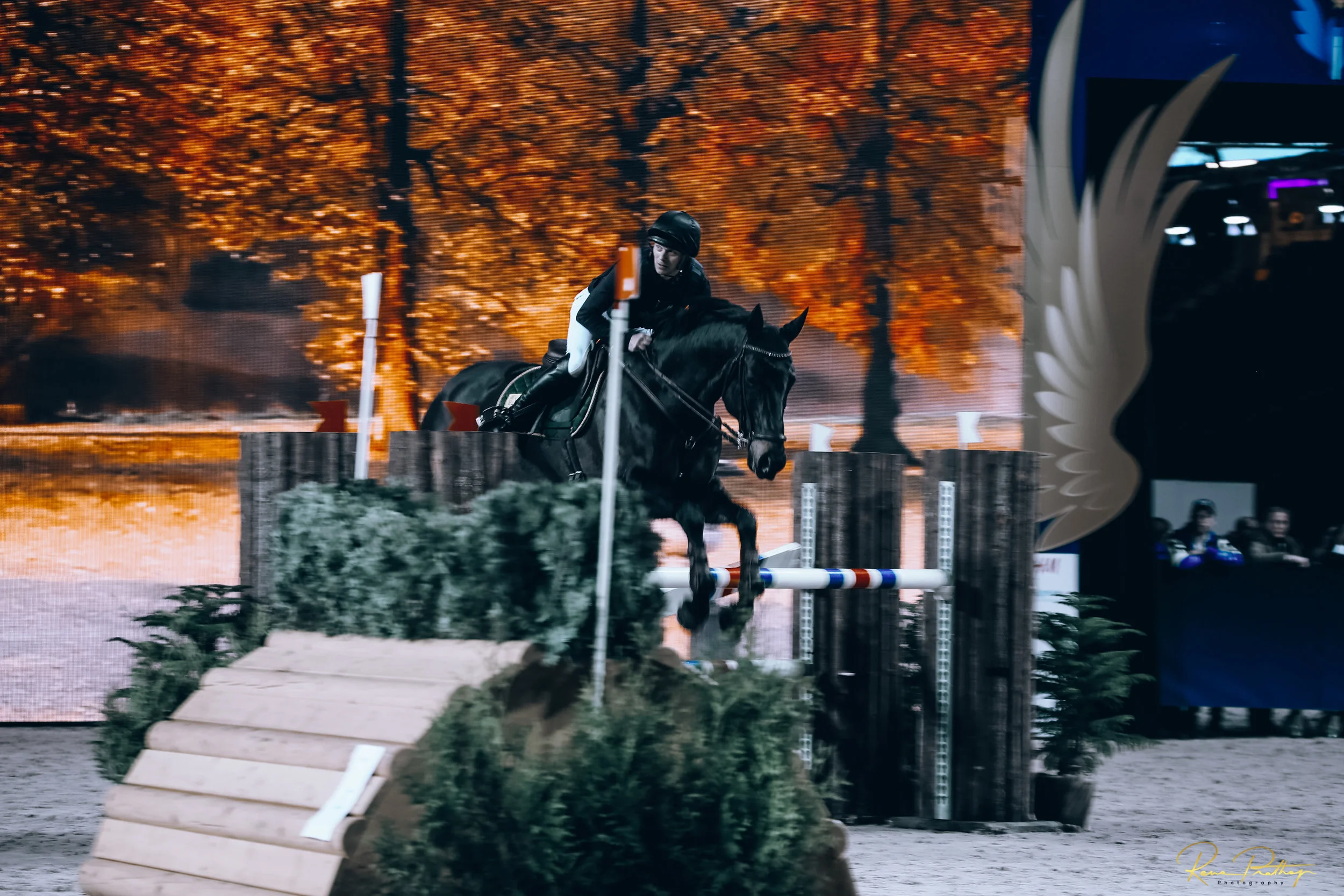 24.SWEDEN HORSE SHOW 30 NOV.jpg
