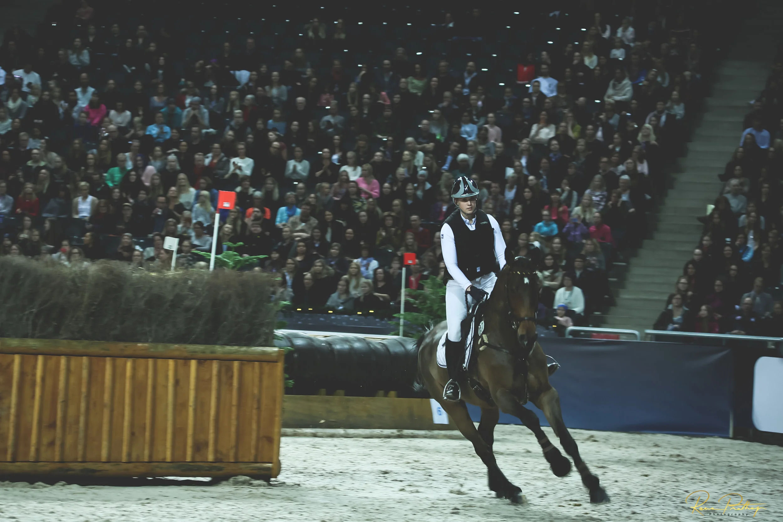 25.SWEDEN HORSE SHOW 30 NOV.jpg