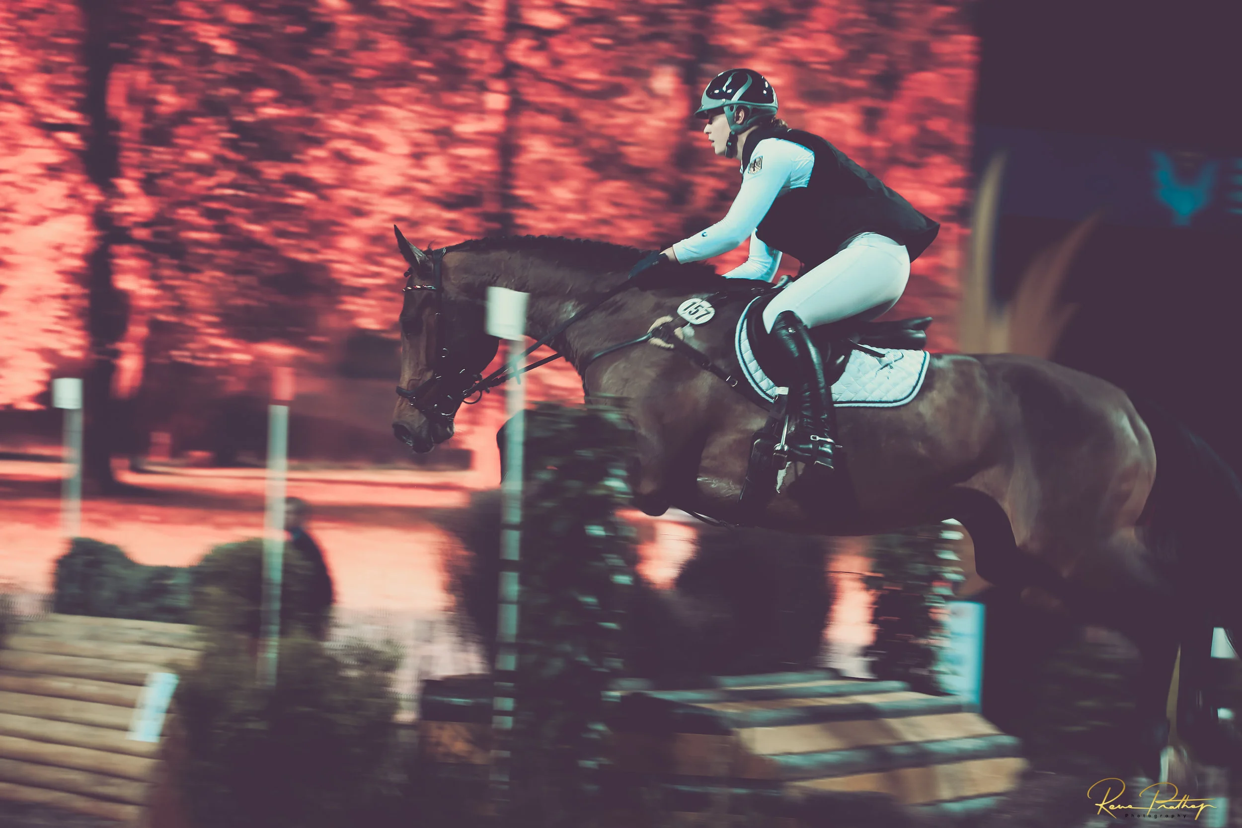 27.SWEDEN HORSE SHOW 30 NOV.jpg