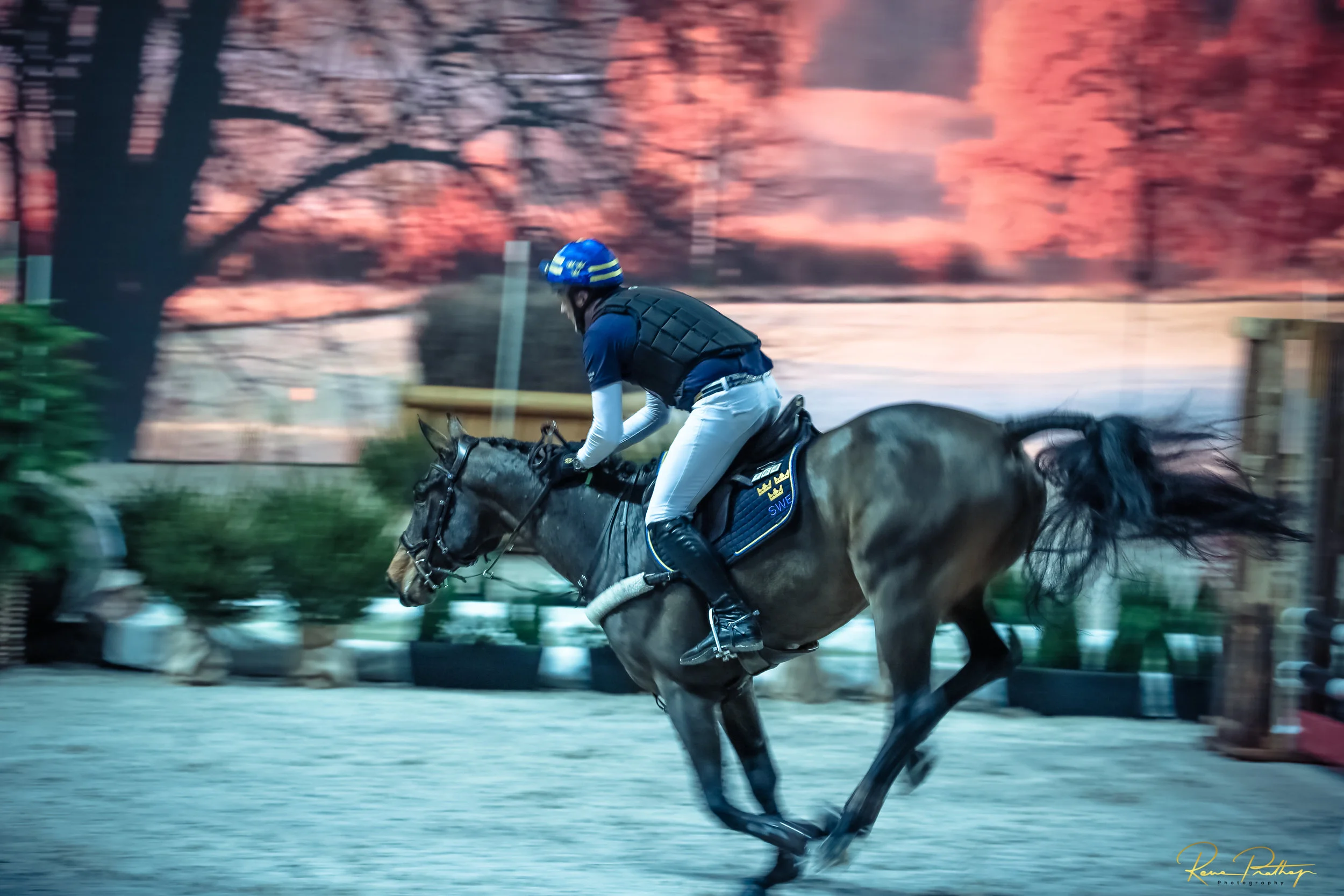 30.SWEDEN HORSE SHOW 30 NOV.jpg