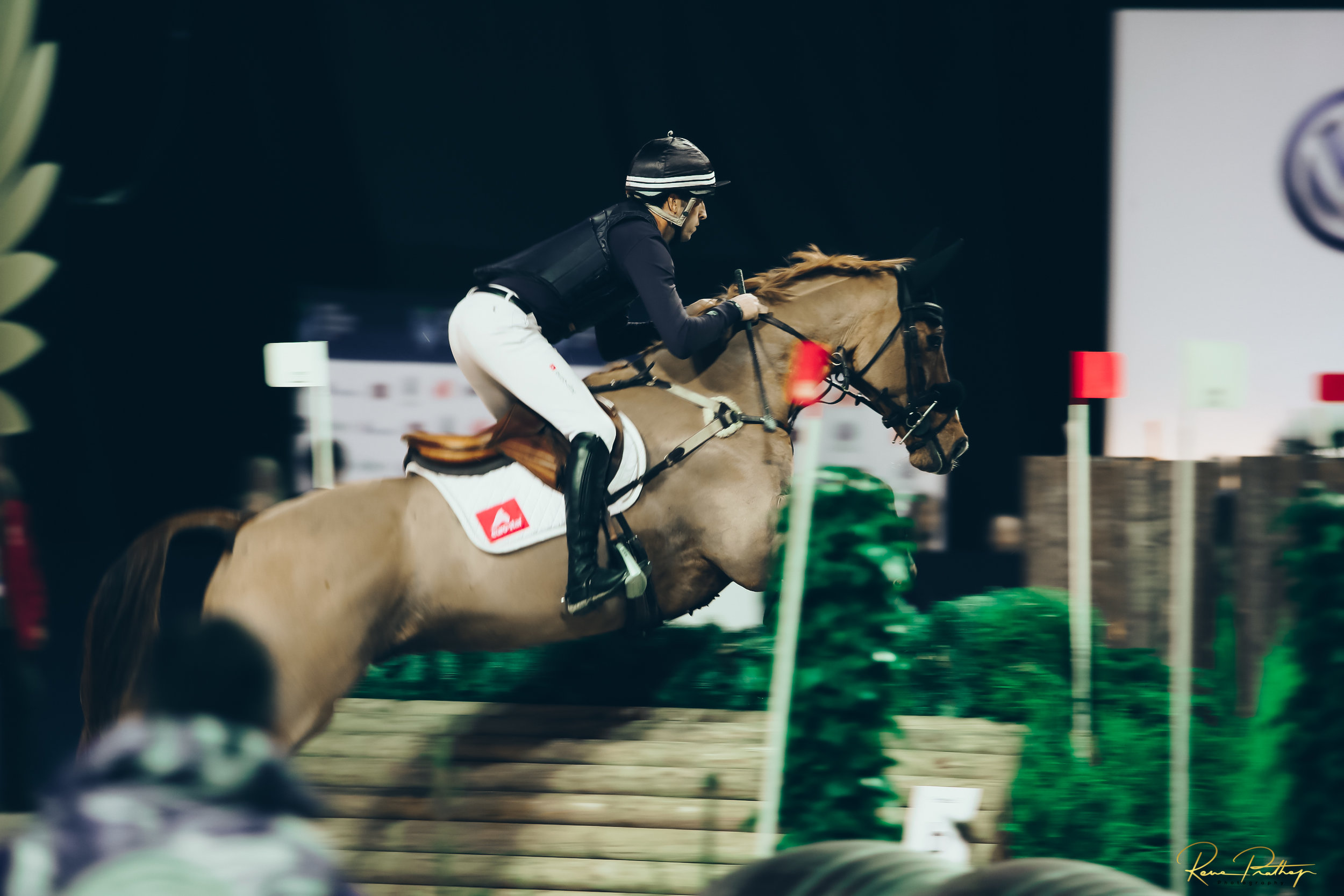 32.SWEDEN HORSE SHOW 30 NOV.jpg