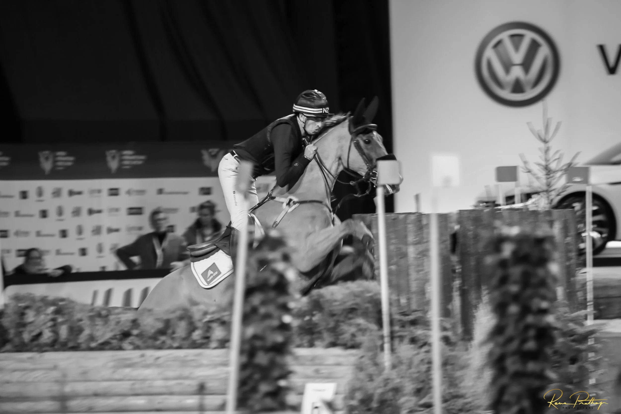 33.SWEDEN HORSE SHOW 30 NOV.jpg