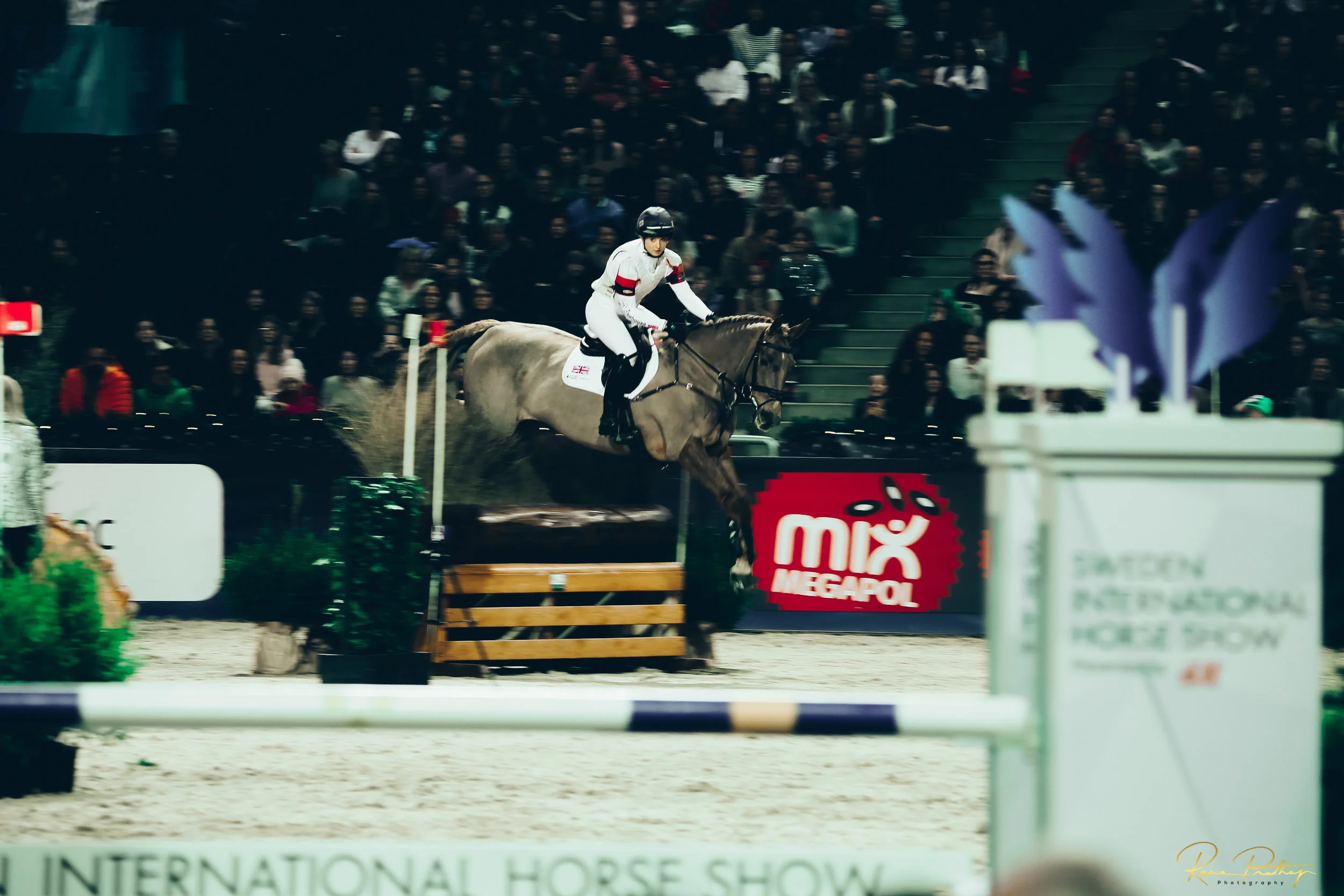 34.SWEDEN HORSE SHOW 30 NOV.jpg