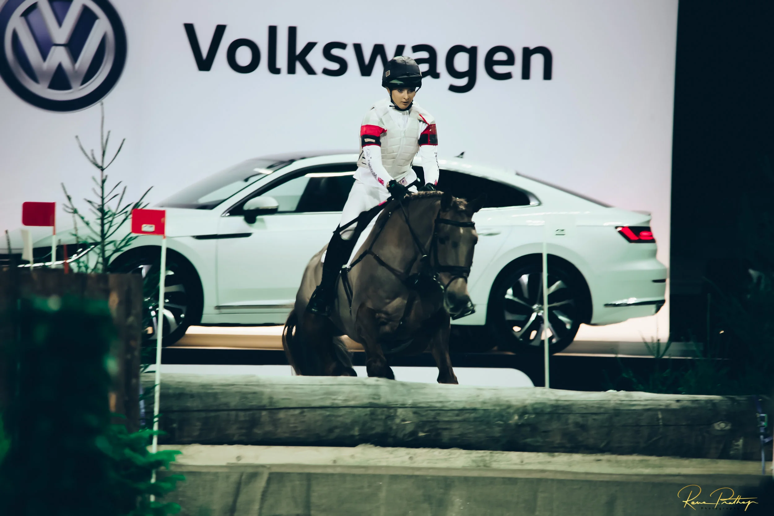 36.SWEDEN HORSE SHOW 30 NOV.jpg