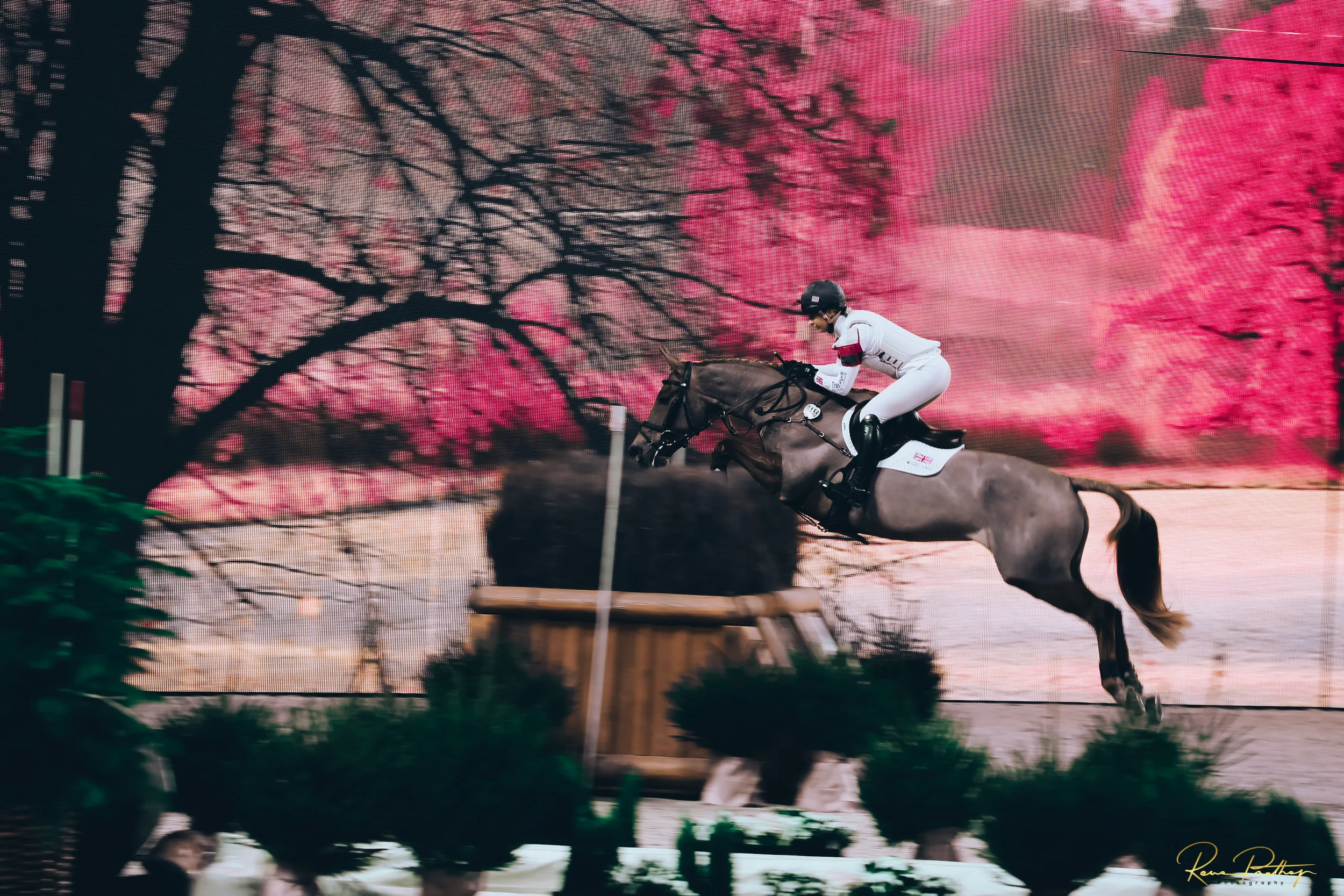 35.SWEDEN HORSE SHOW 30 NOV.jpg