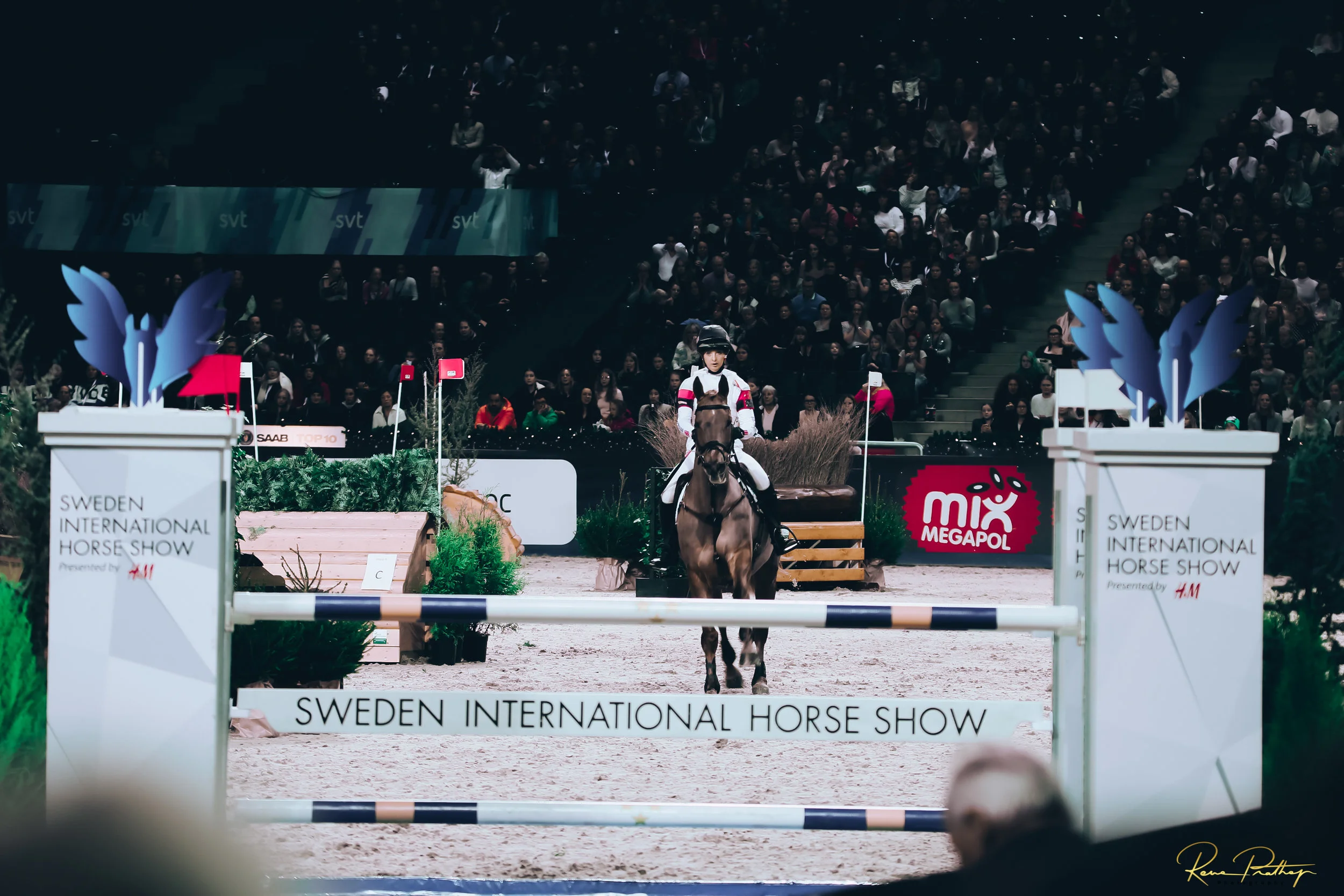 37.SWEDEN HORSE SHOW 30 NOV.jpg