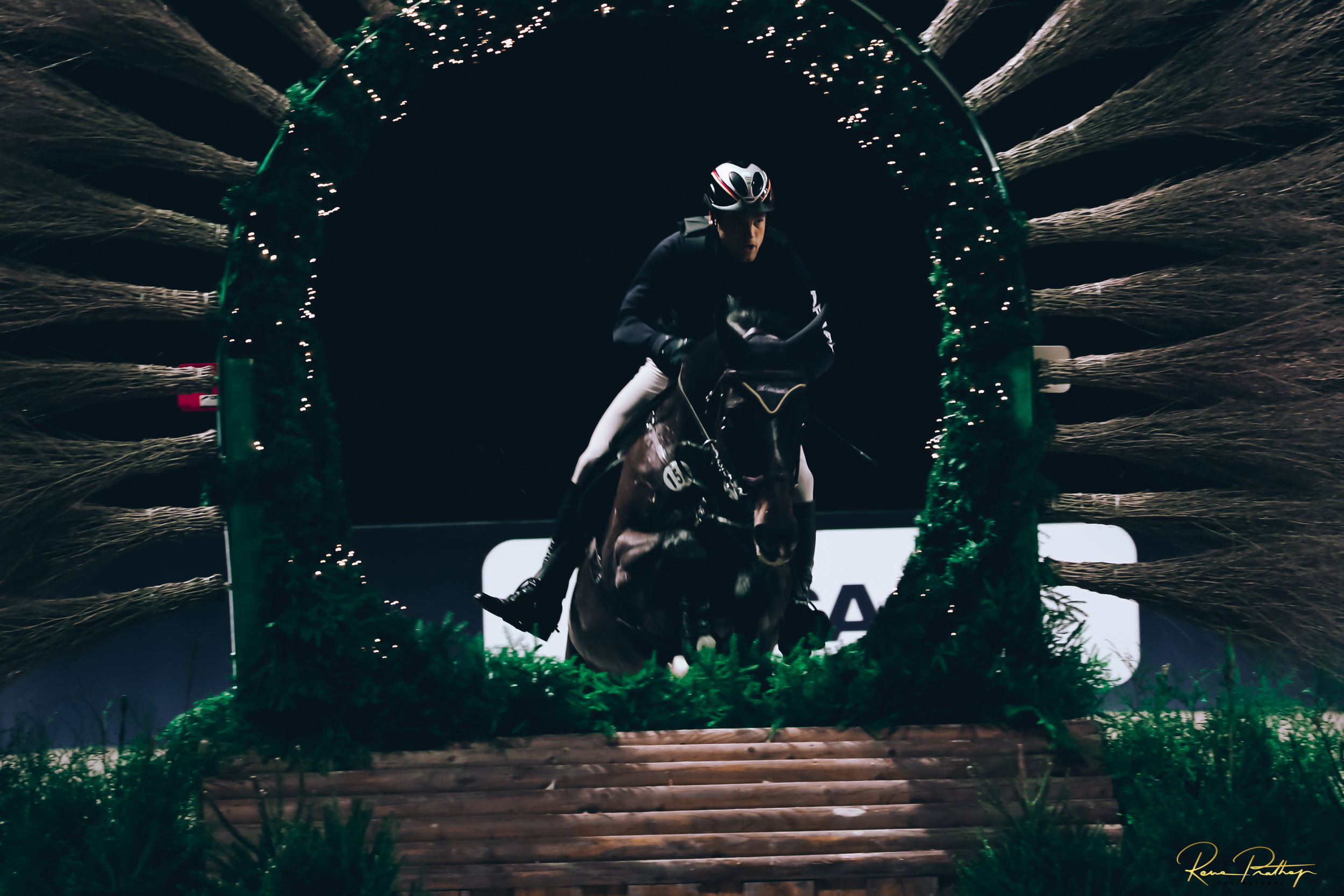 39.SWEDEN HORSE SHOW 30 NOV.jpg