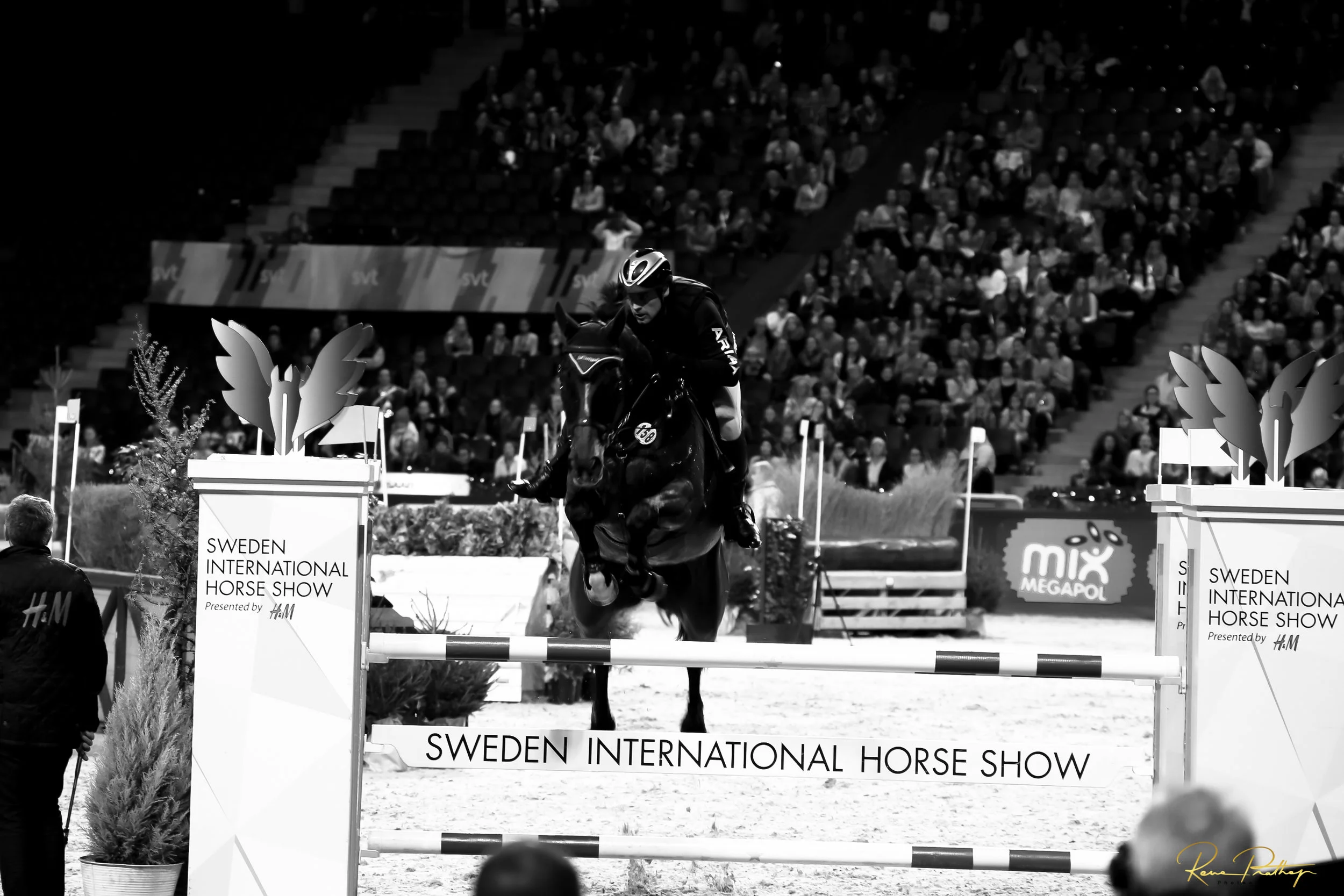 43.SWEDEN HORSE SHOW 30 NOV.jpg