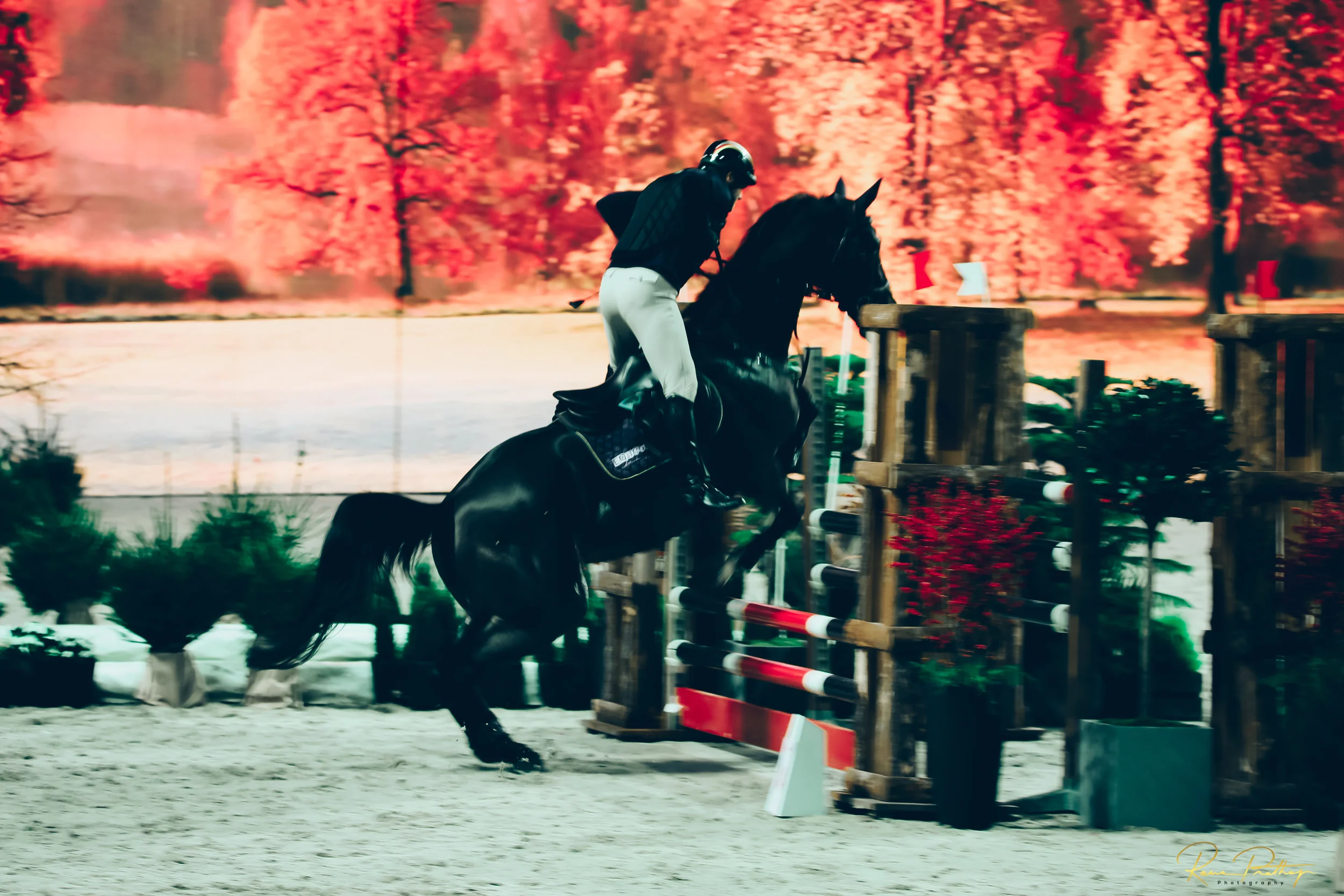 44.SWEDEN HORSE SHOW 30 NOV.jpg