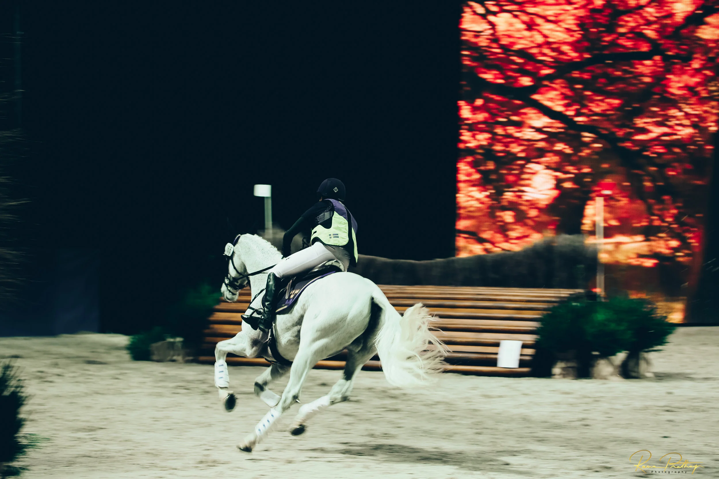 45.SWEDEN HORSE SHOW 30 NOV.jpg