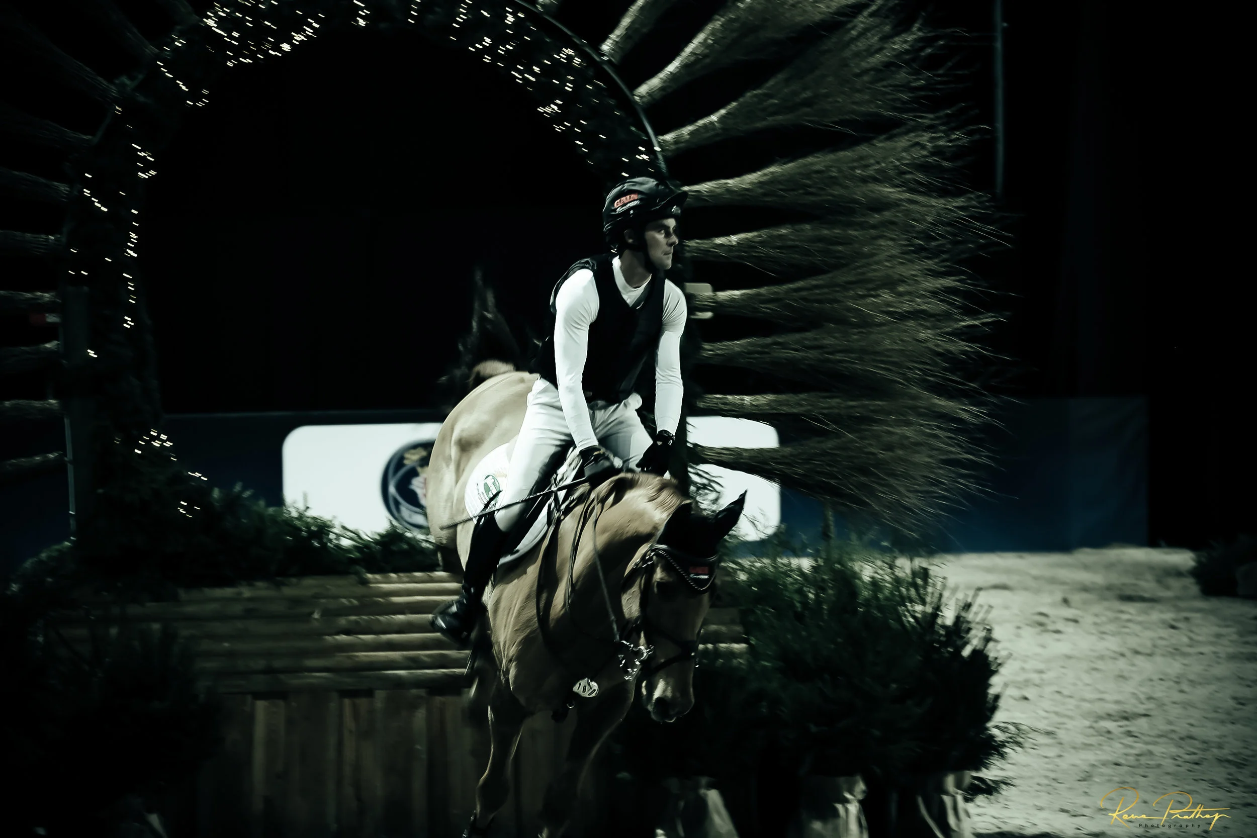 46.SWEDEN HORSE SHOW 30 NOV.jpg