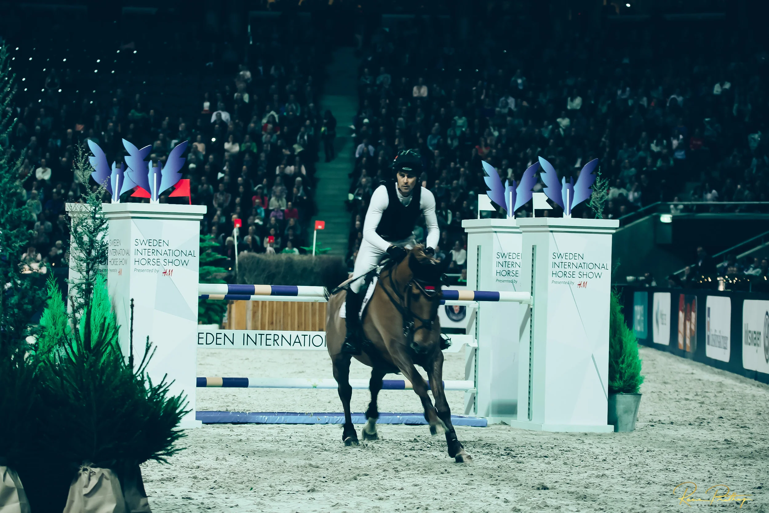 47.SWEDEN HORSE SHOW 30 NOV.jpg