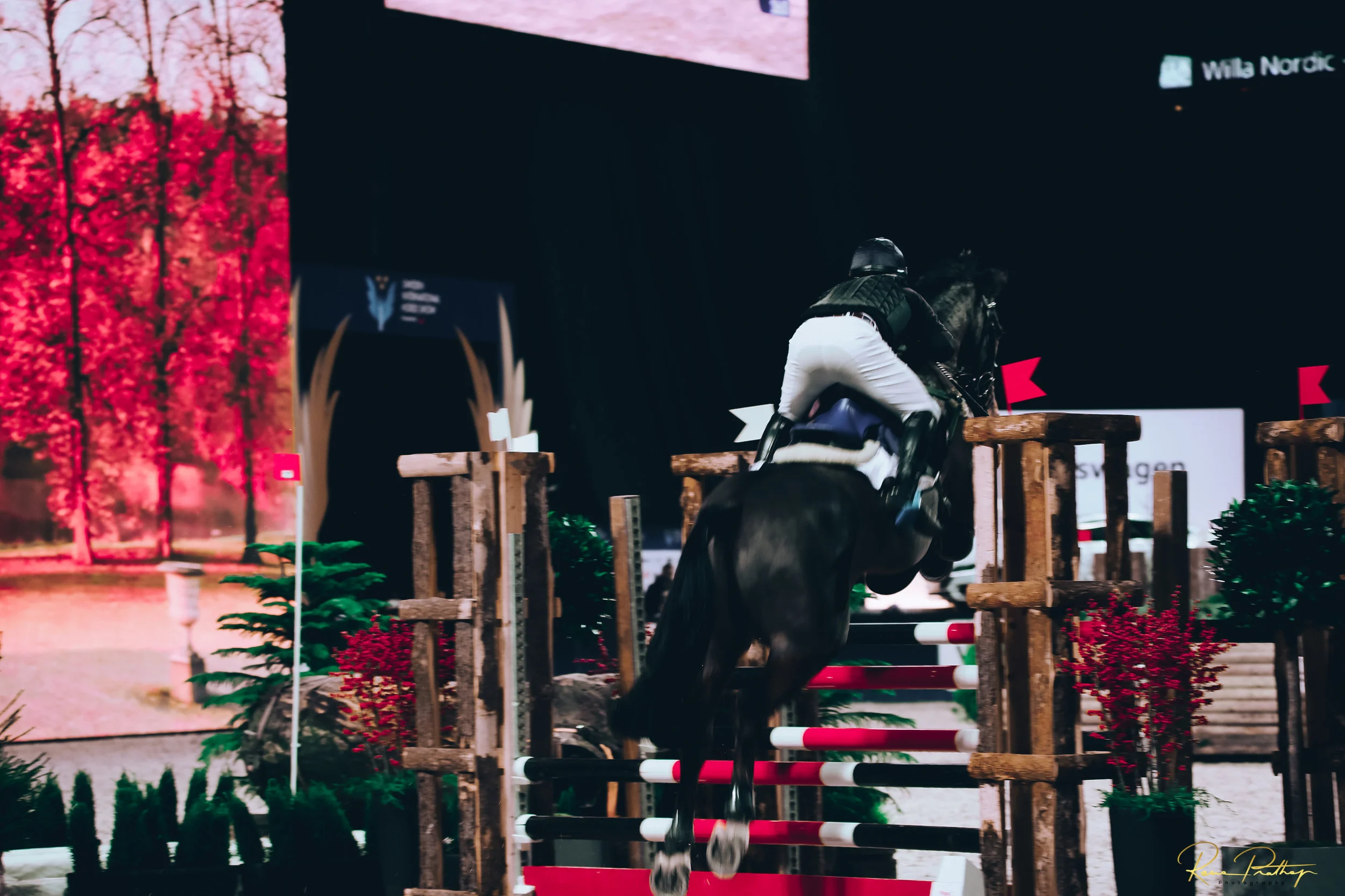 51.SWEDEN HORSE SHOW 30 NOV.jpg