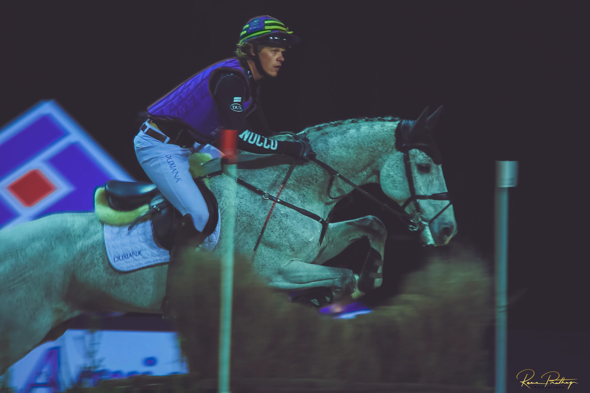 54.SWEDEN HORSE SHOW 30 NOV.jpg