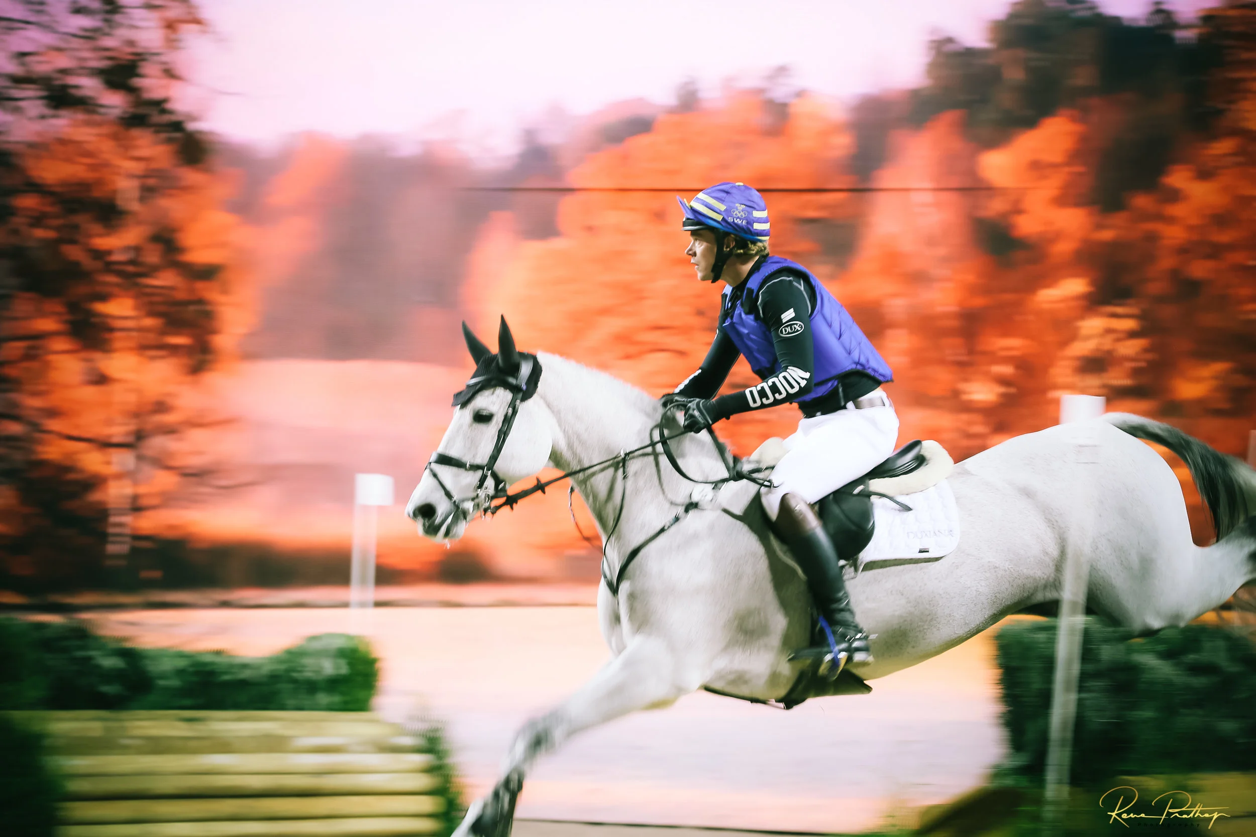 55.SWEDEN HORSE SHOW 30 NOV.jpg