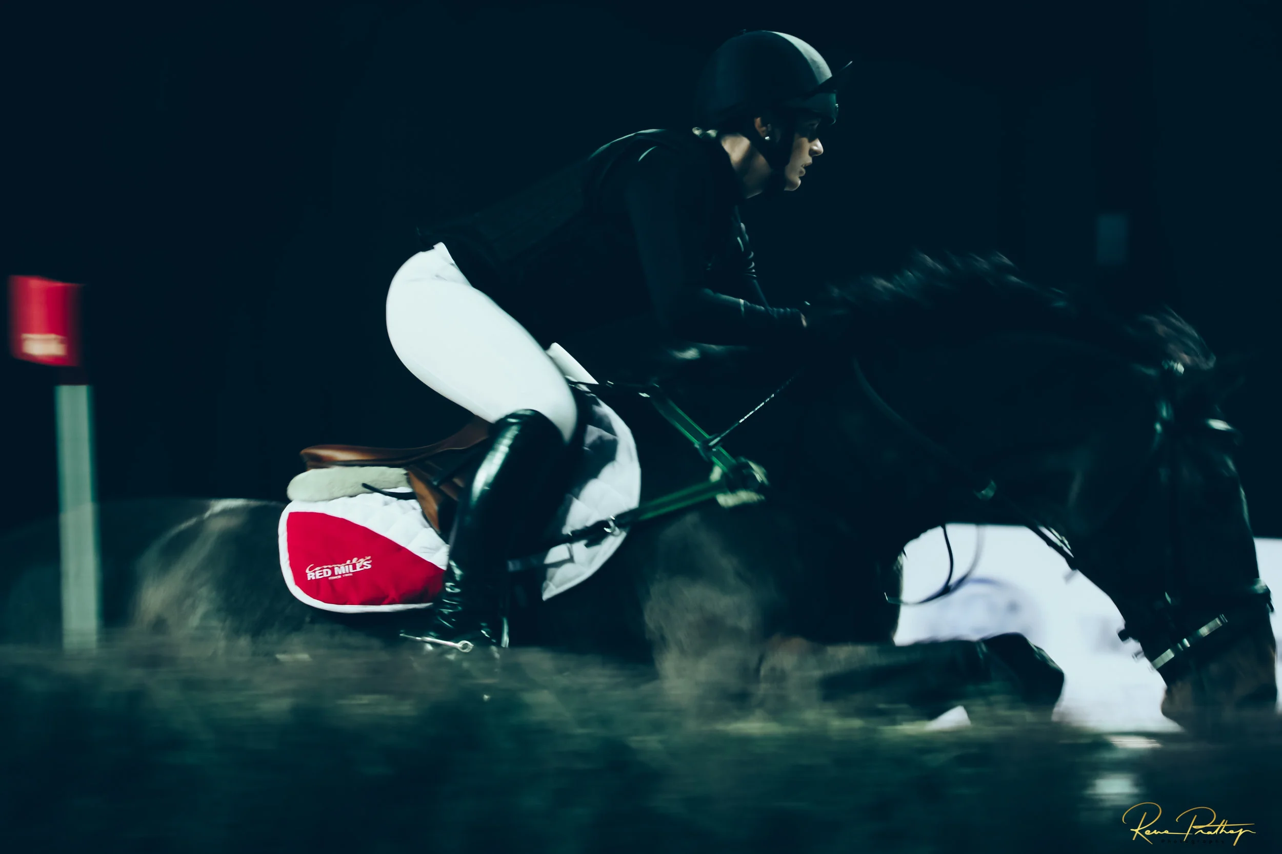 57.SWEDEN HORSE SHOW 30 NOV.jpg