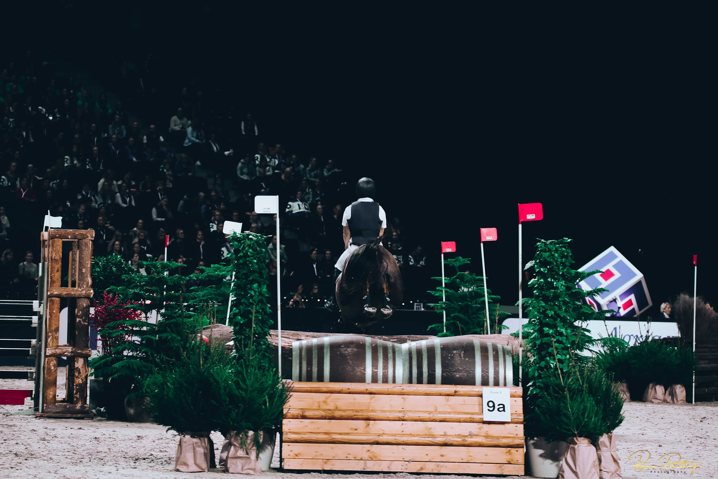 58.SWEDEN HORSE SHOW 30 NOV.jpg