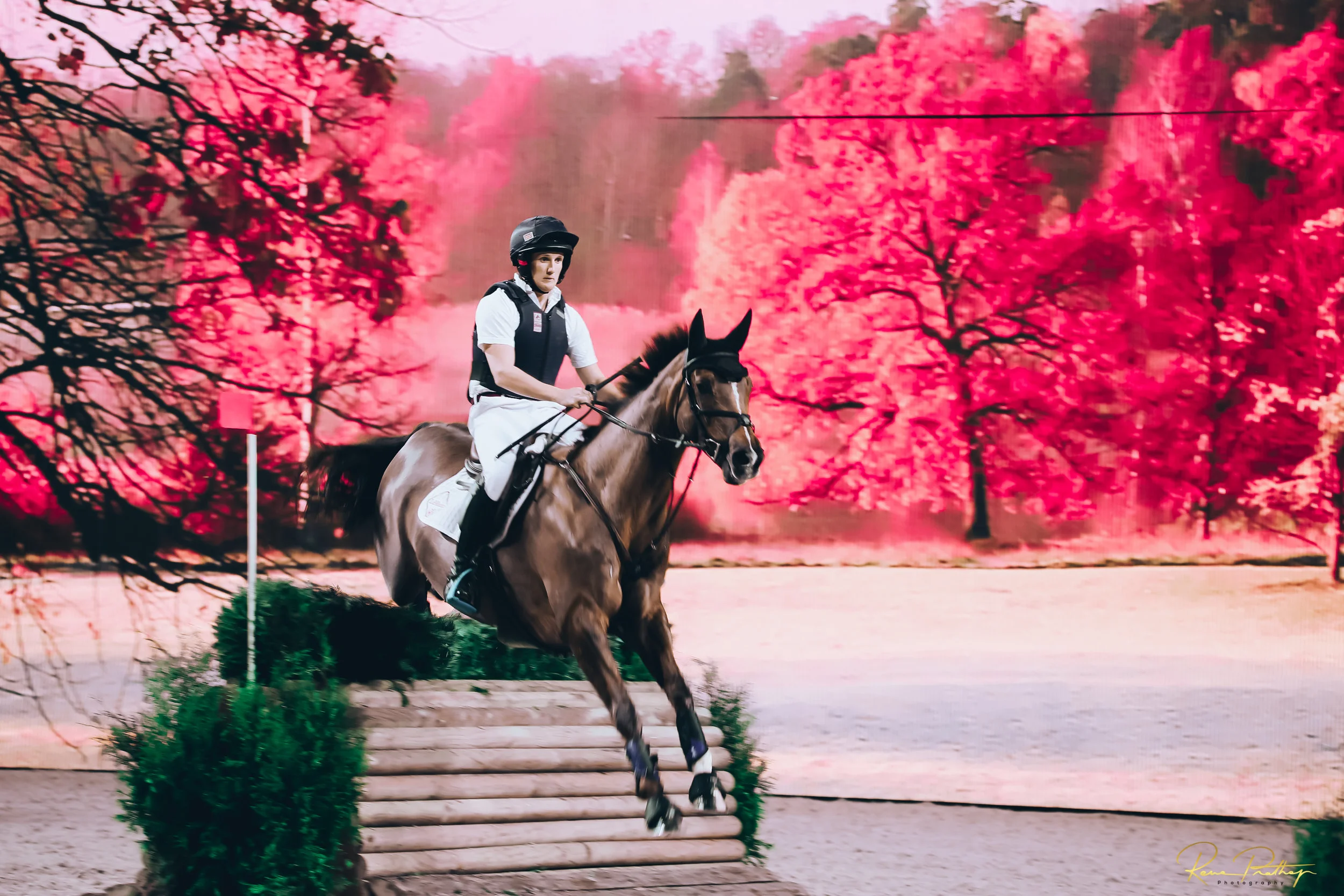 59.SWEDEN HORSE SHOW 30 NOV.jpg