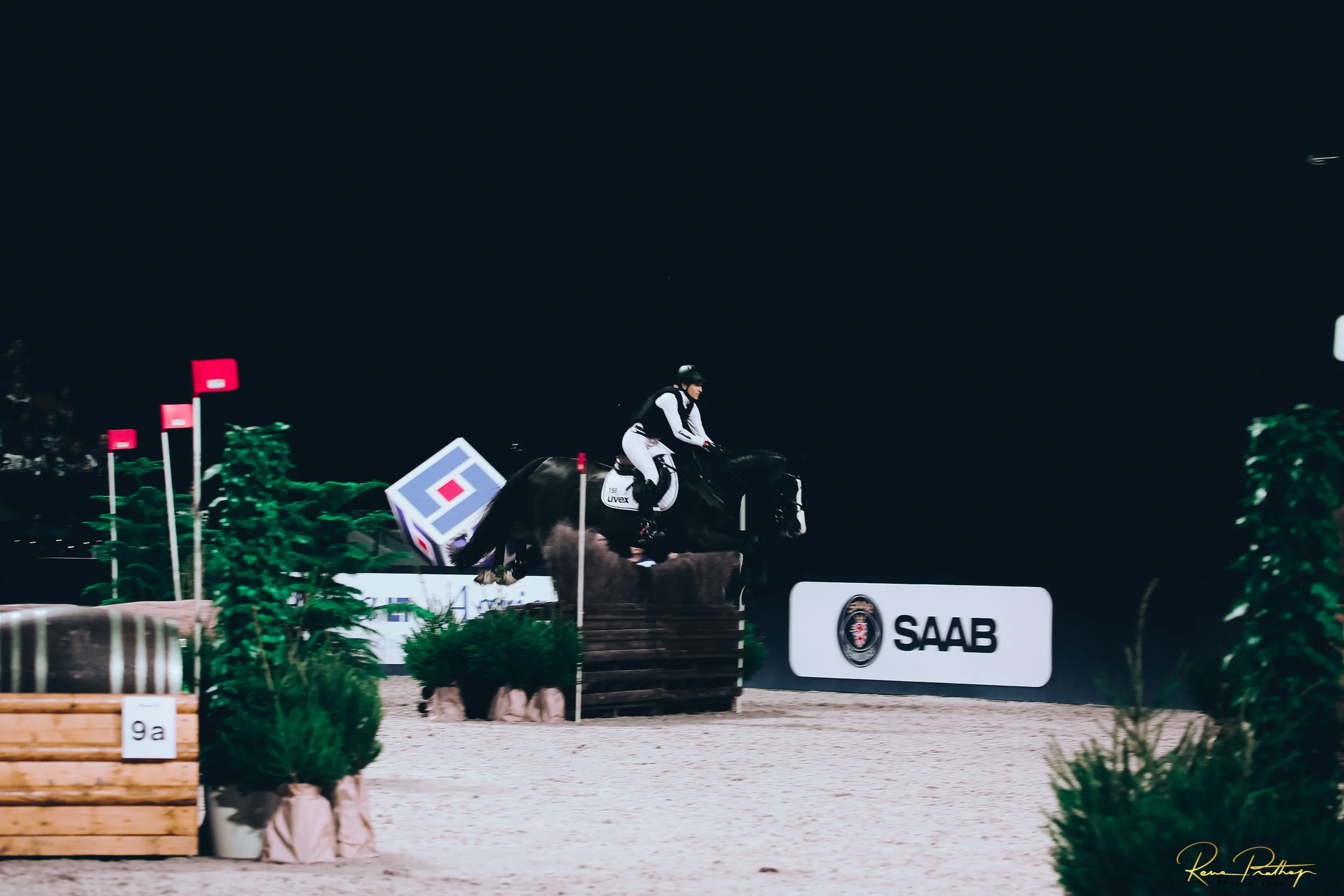 61.SWEDEN HORSE SHOW 30 NOV.jpg