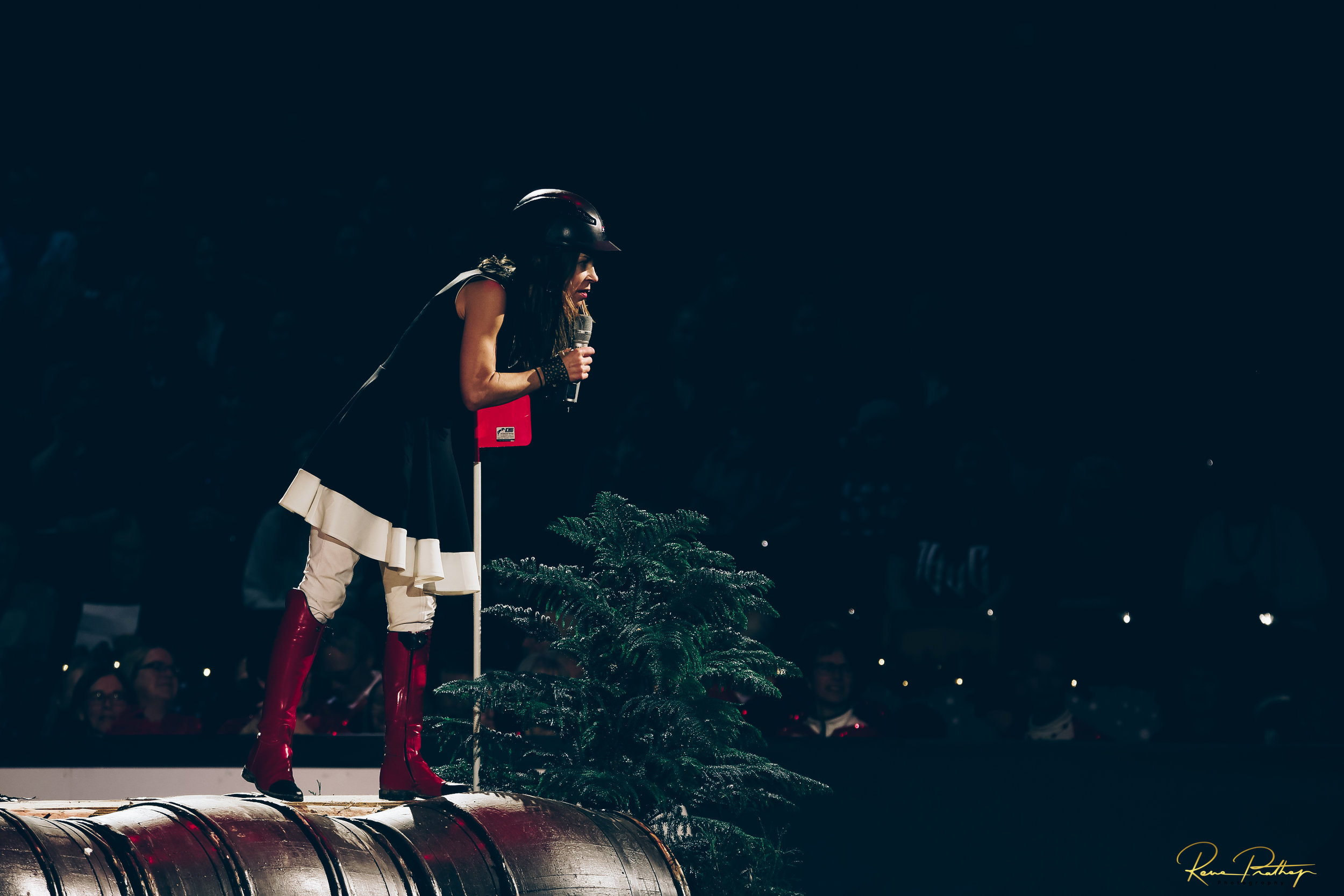 62.SWEDEN HORSE SHOW 30 NOV.jpg
