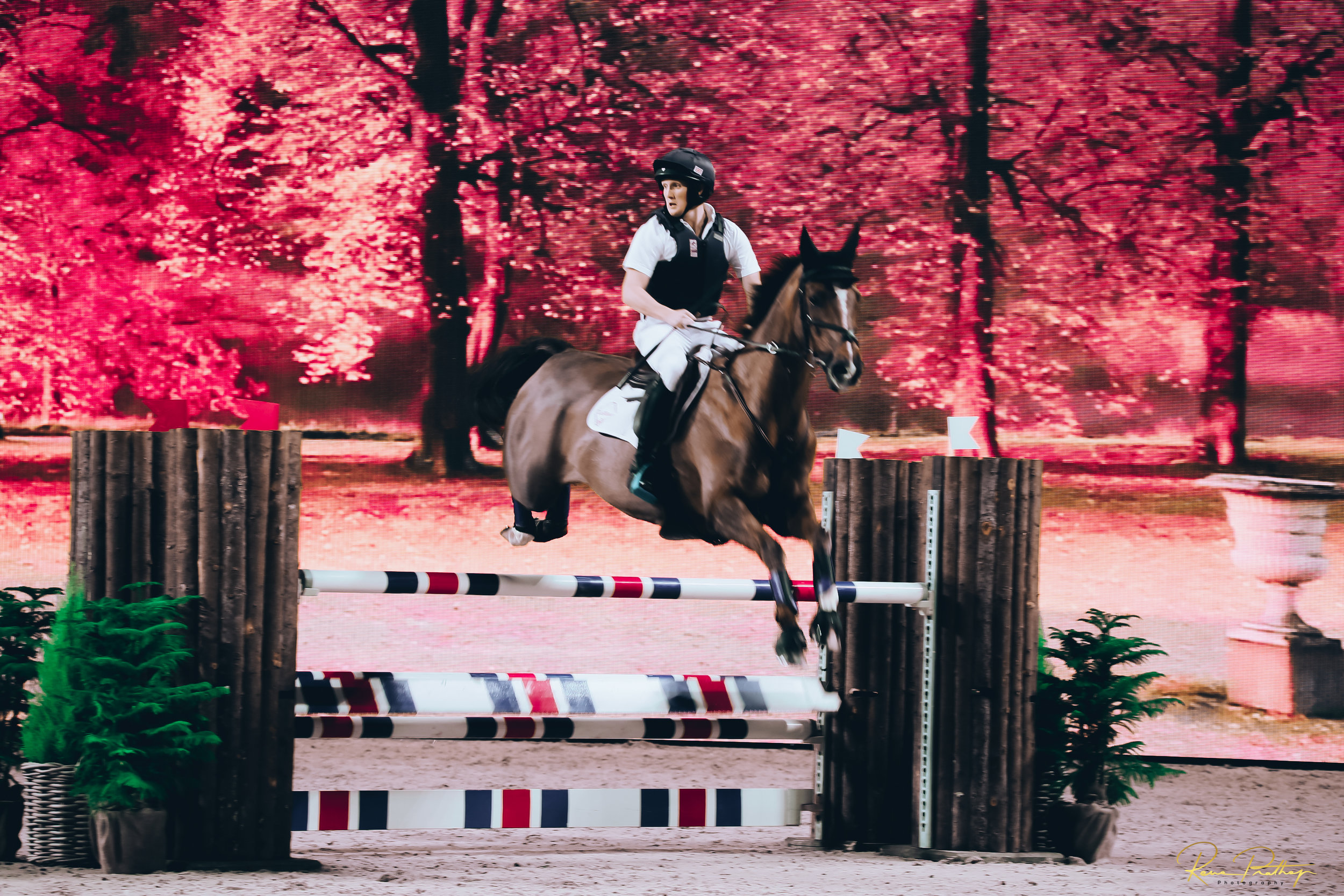 60.SWEDEN HORSE SHOW 30 NOV.jpg