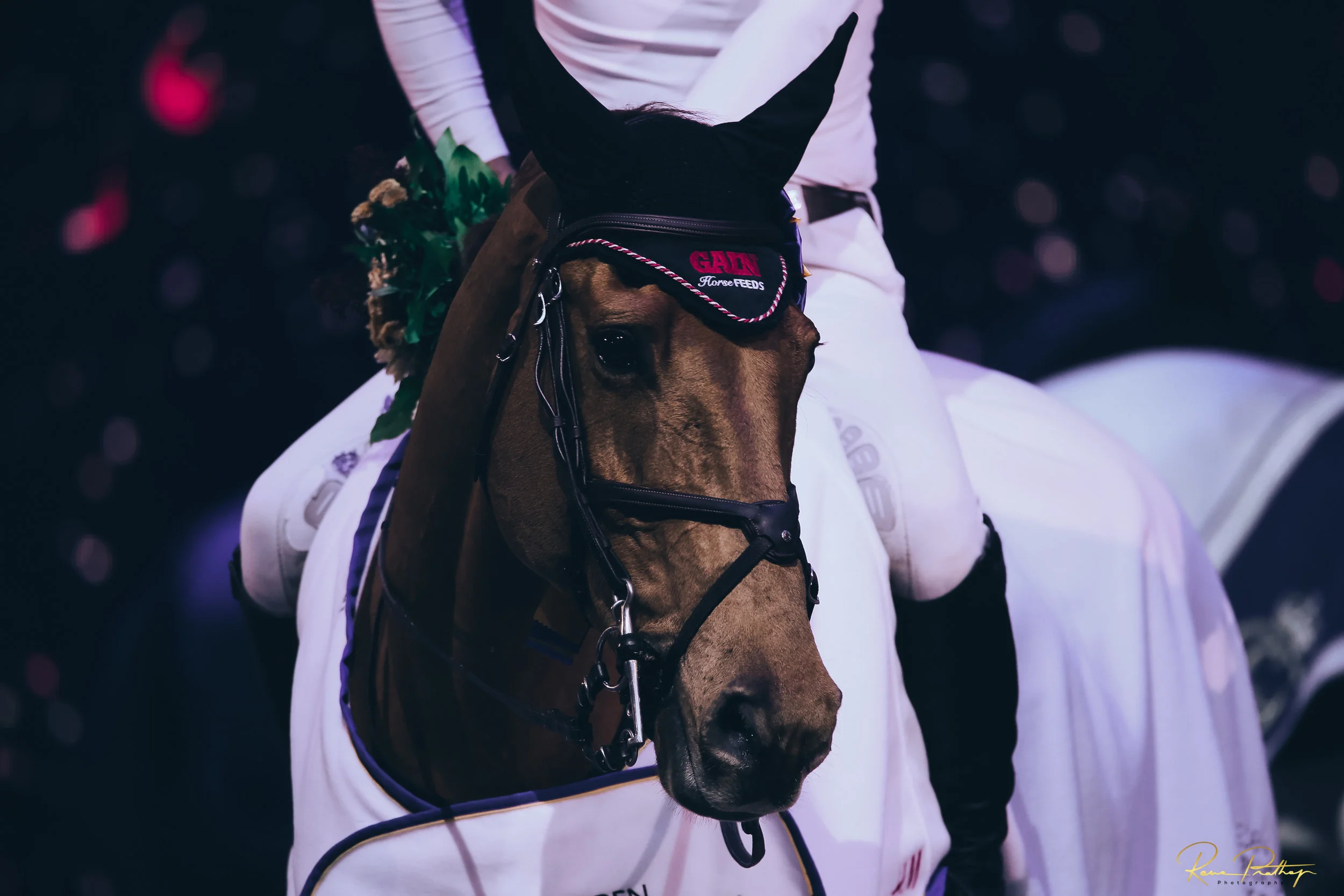 67.SWEDEN HORSE SHOW 30 NOV.jpg