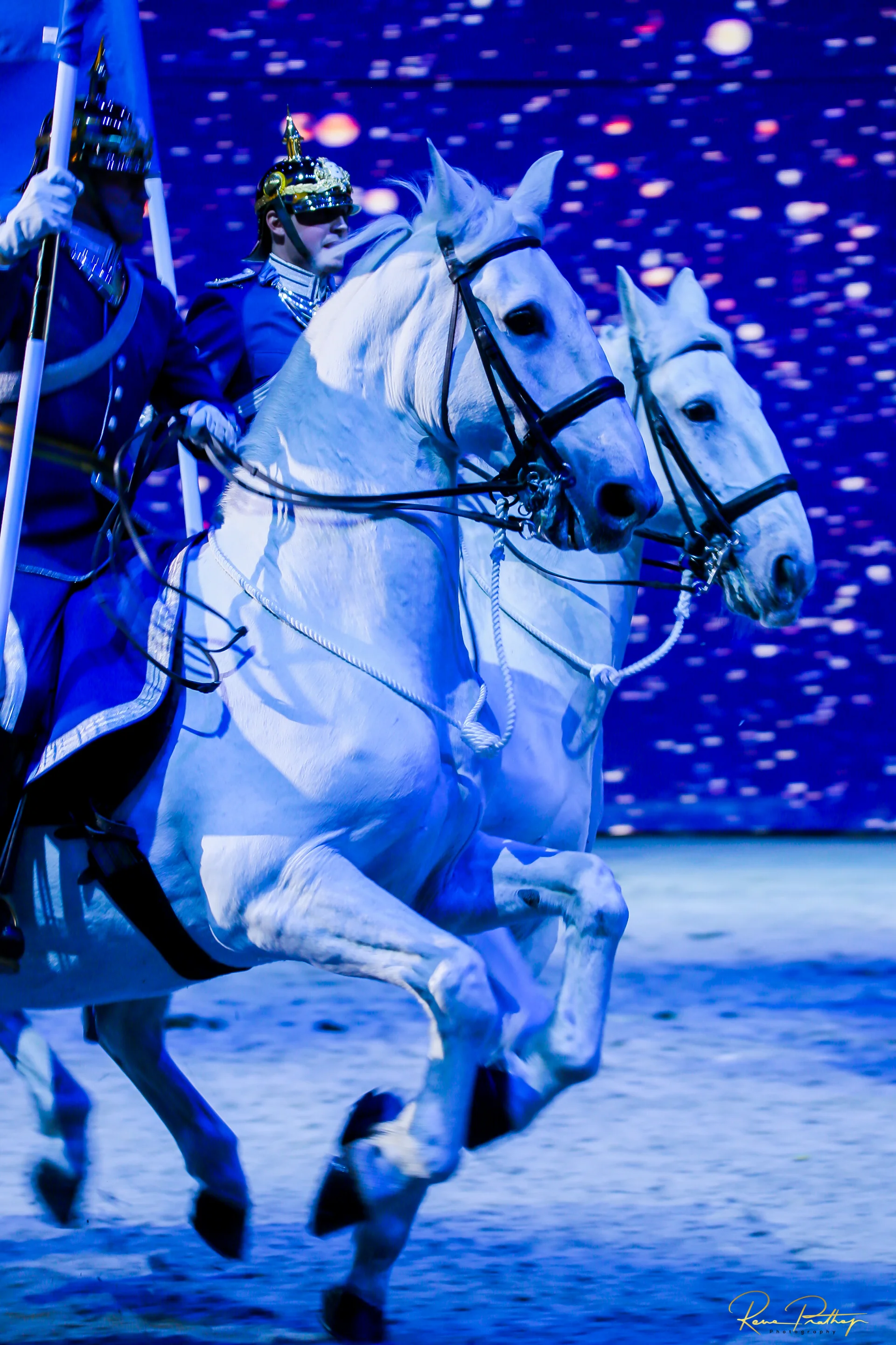 79.SWEDEN HORSE SHOW 30 NOV.jpg