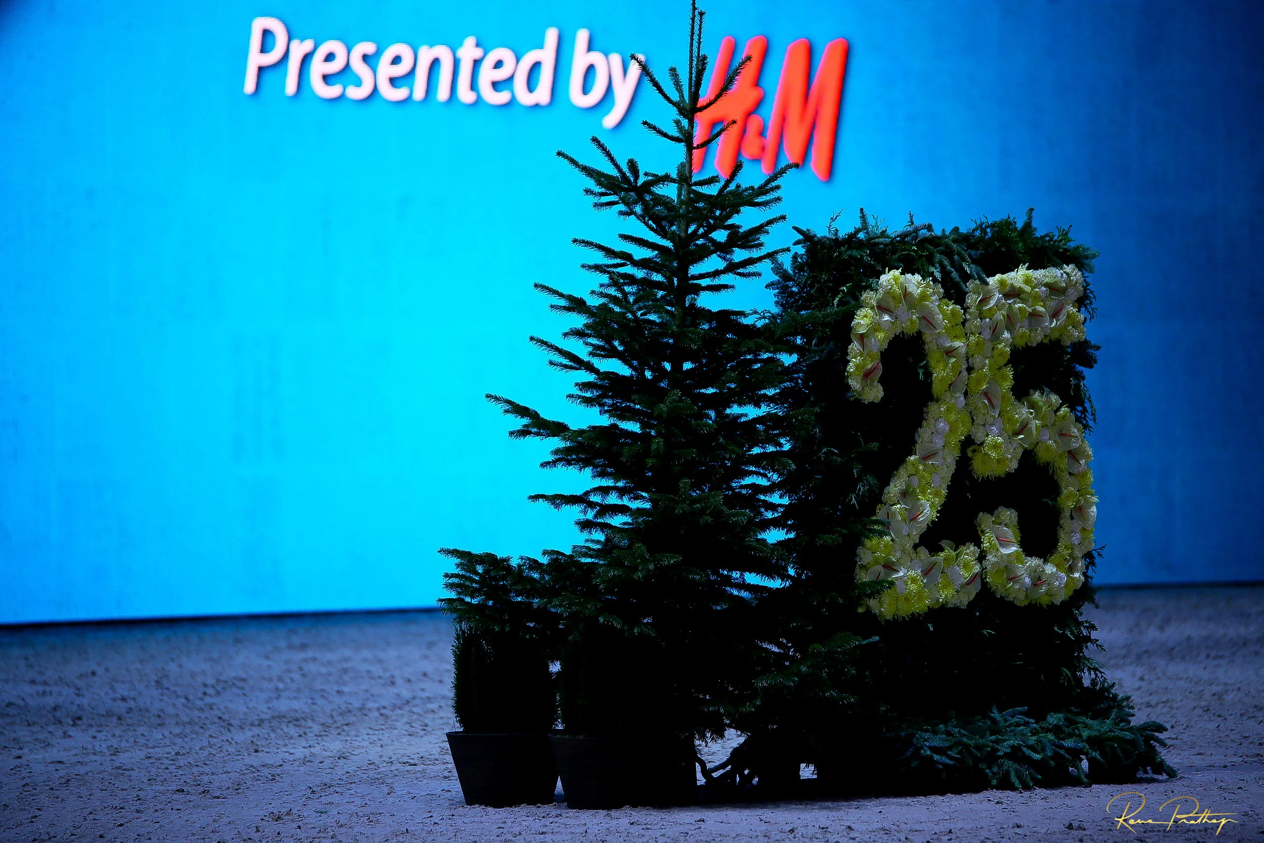 4.SWEDEN HORSE SHOW 2 DEC 17.jpg