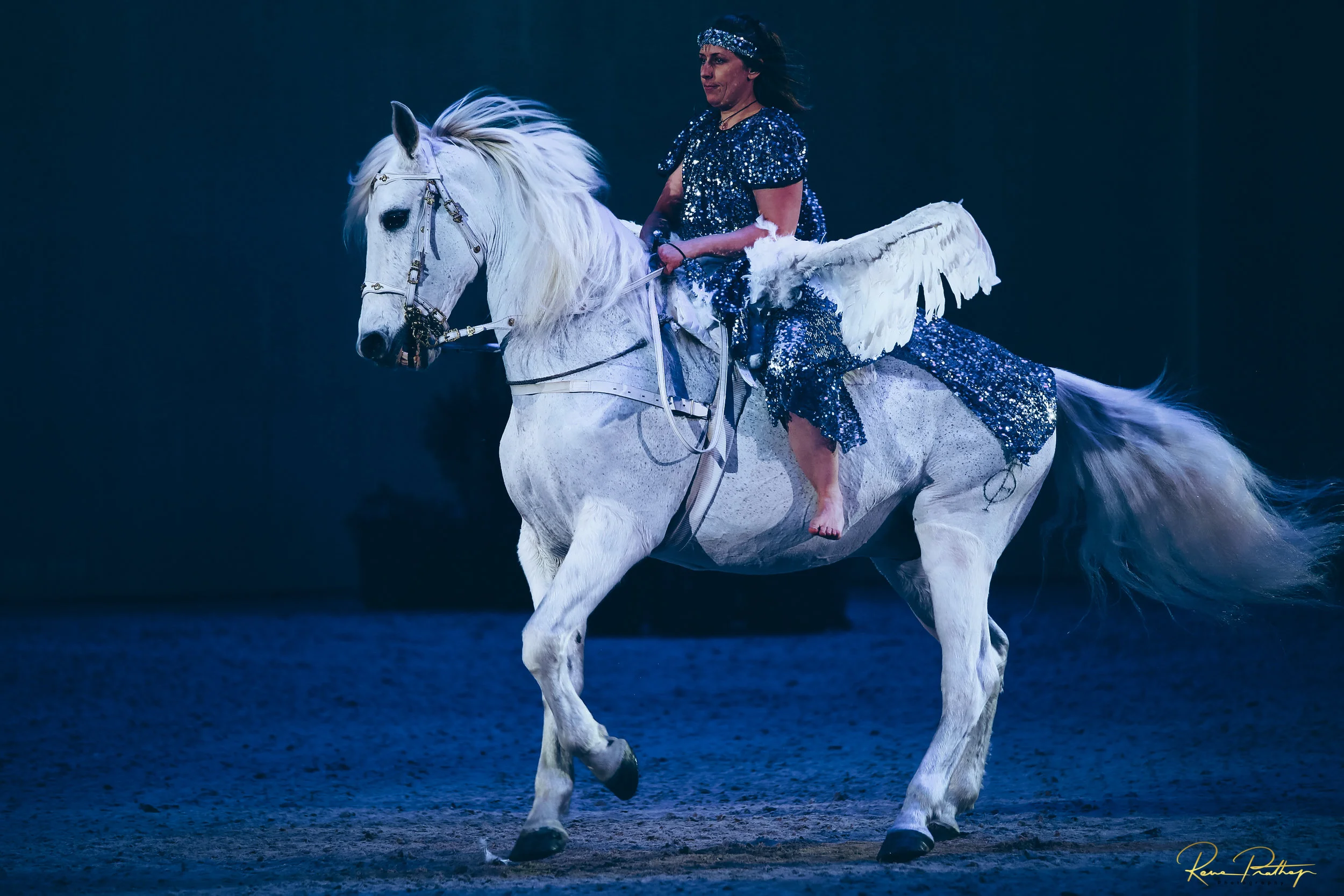 5.SWEDEN HORSE SHOW 2 DEC 17.jpg