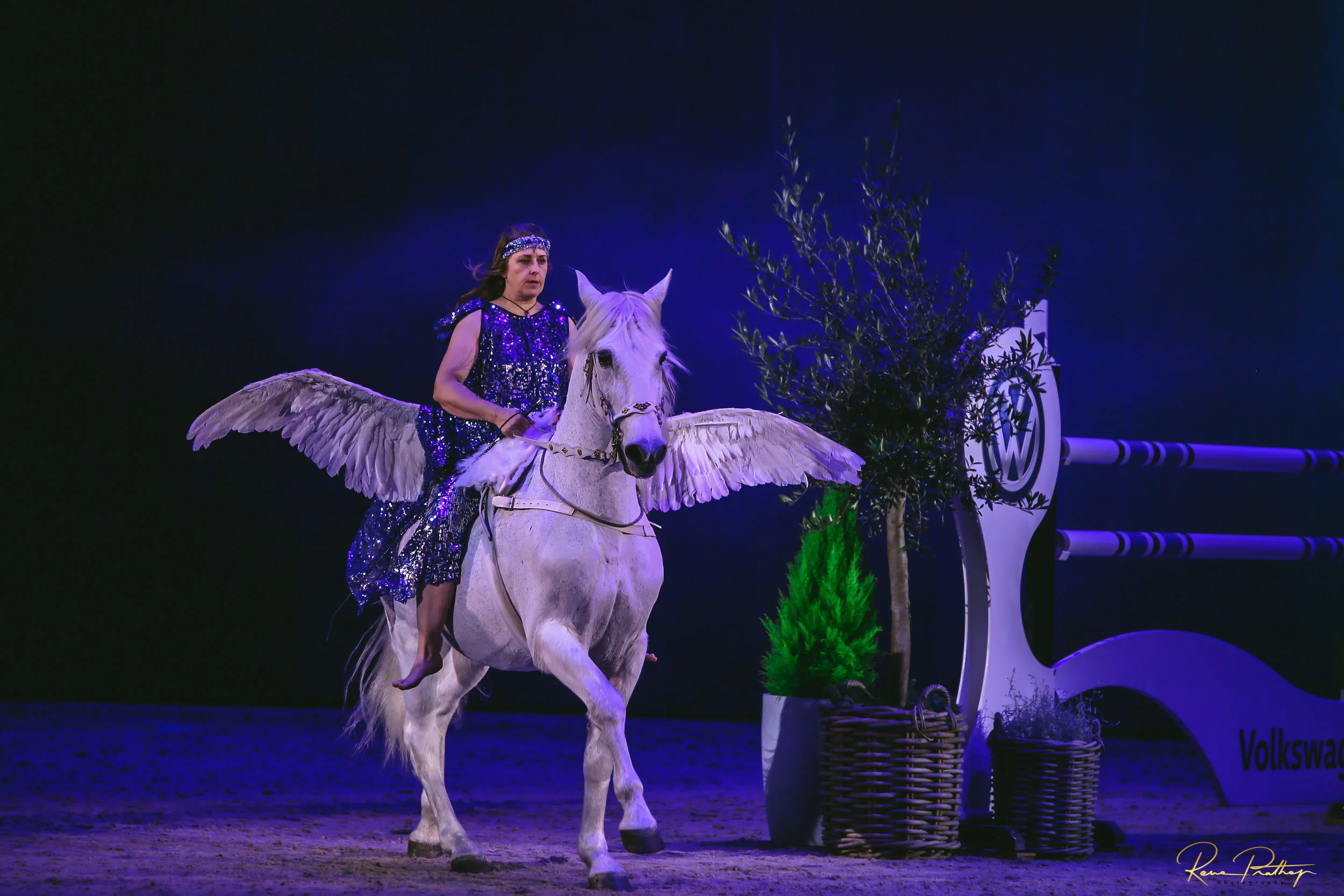 7.SWEDEN HORSE SHOW 2 DEC 17.jpg