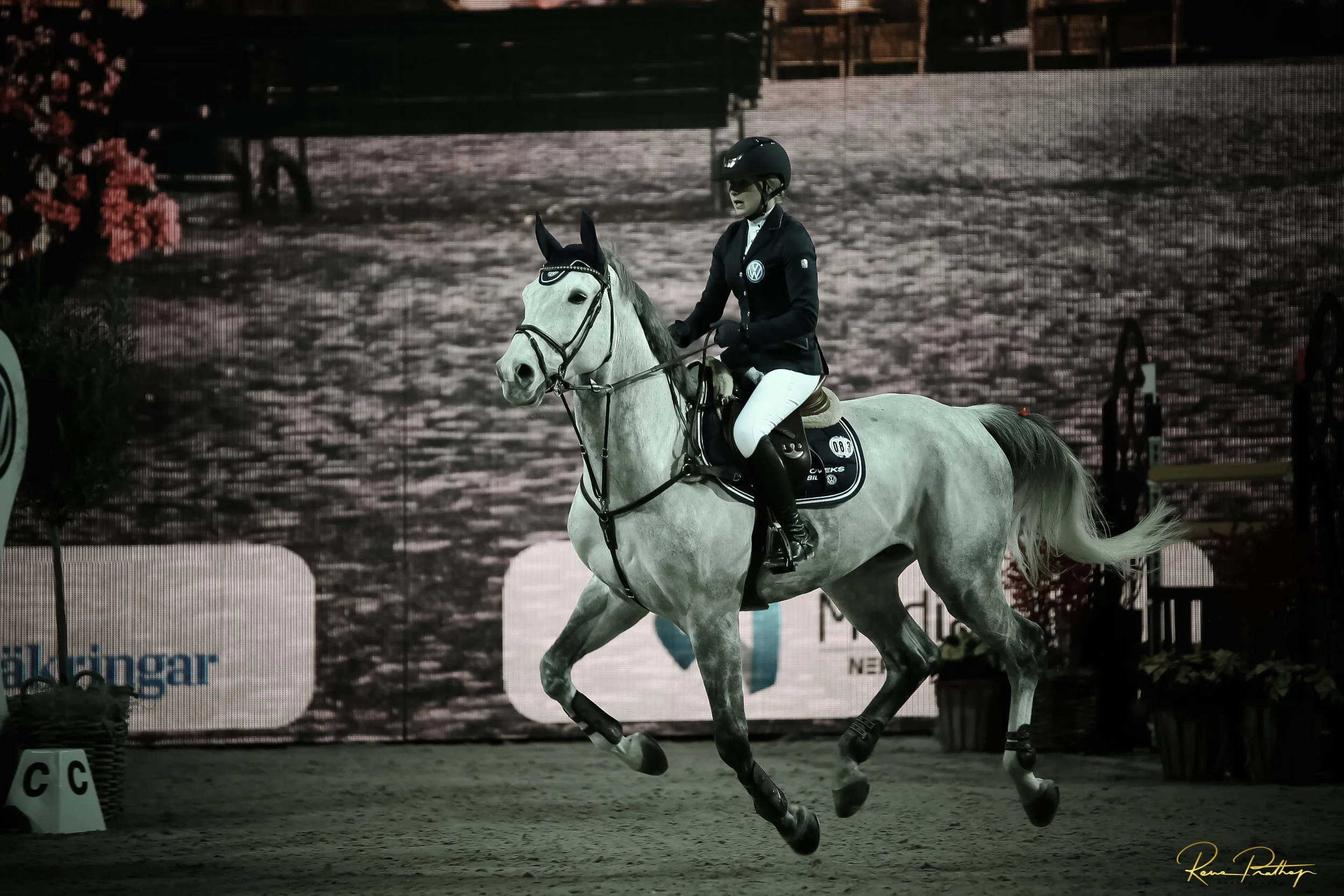 12.SWEDEN HORSE SHOW 2 DEC 17.jpg